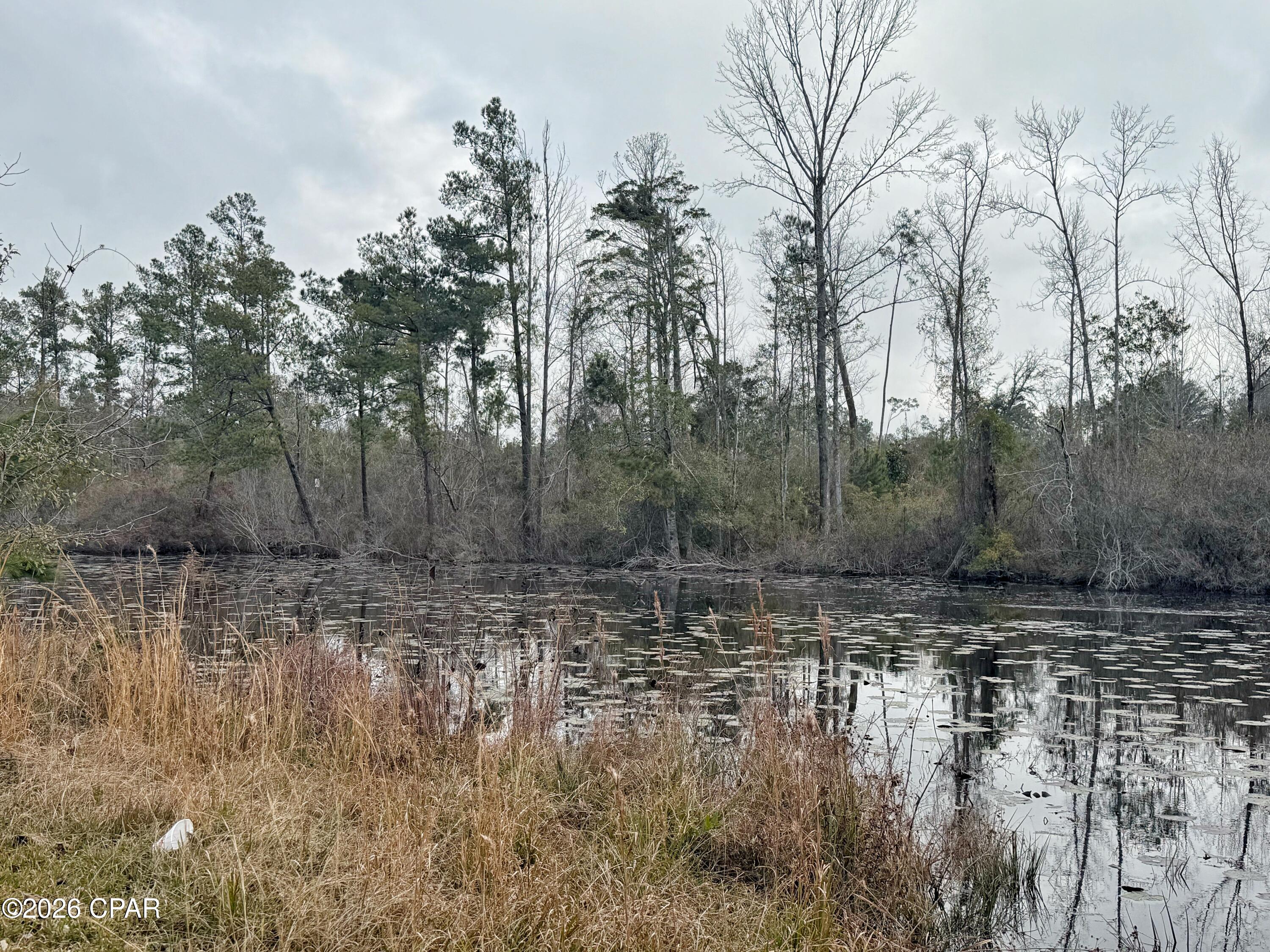 Indian Springs - Commercial Sale