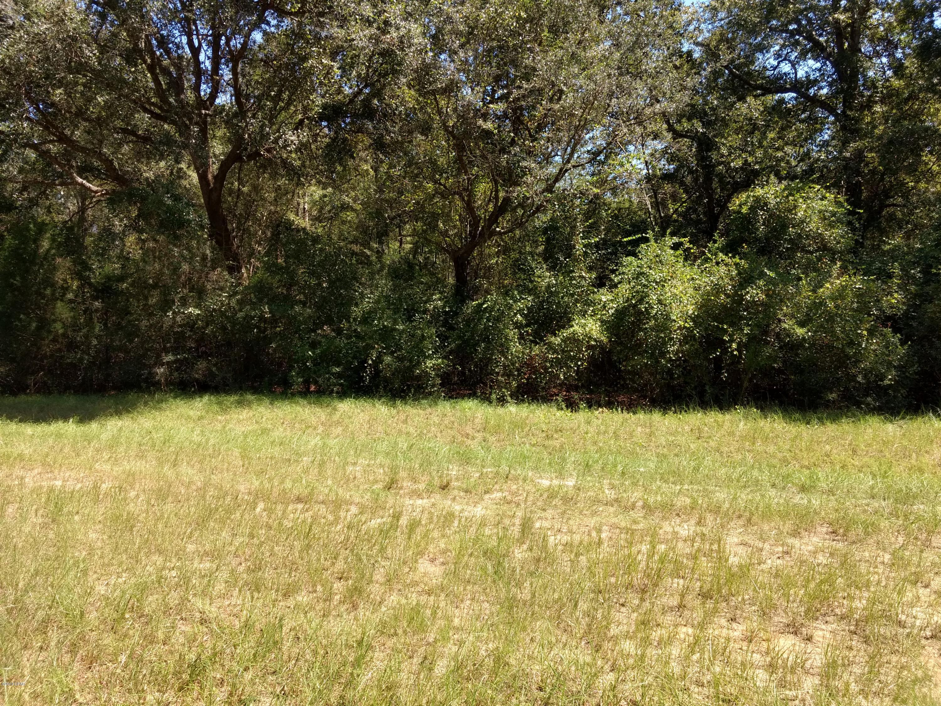 Reedy Creek - Land