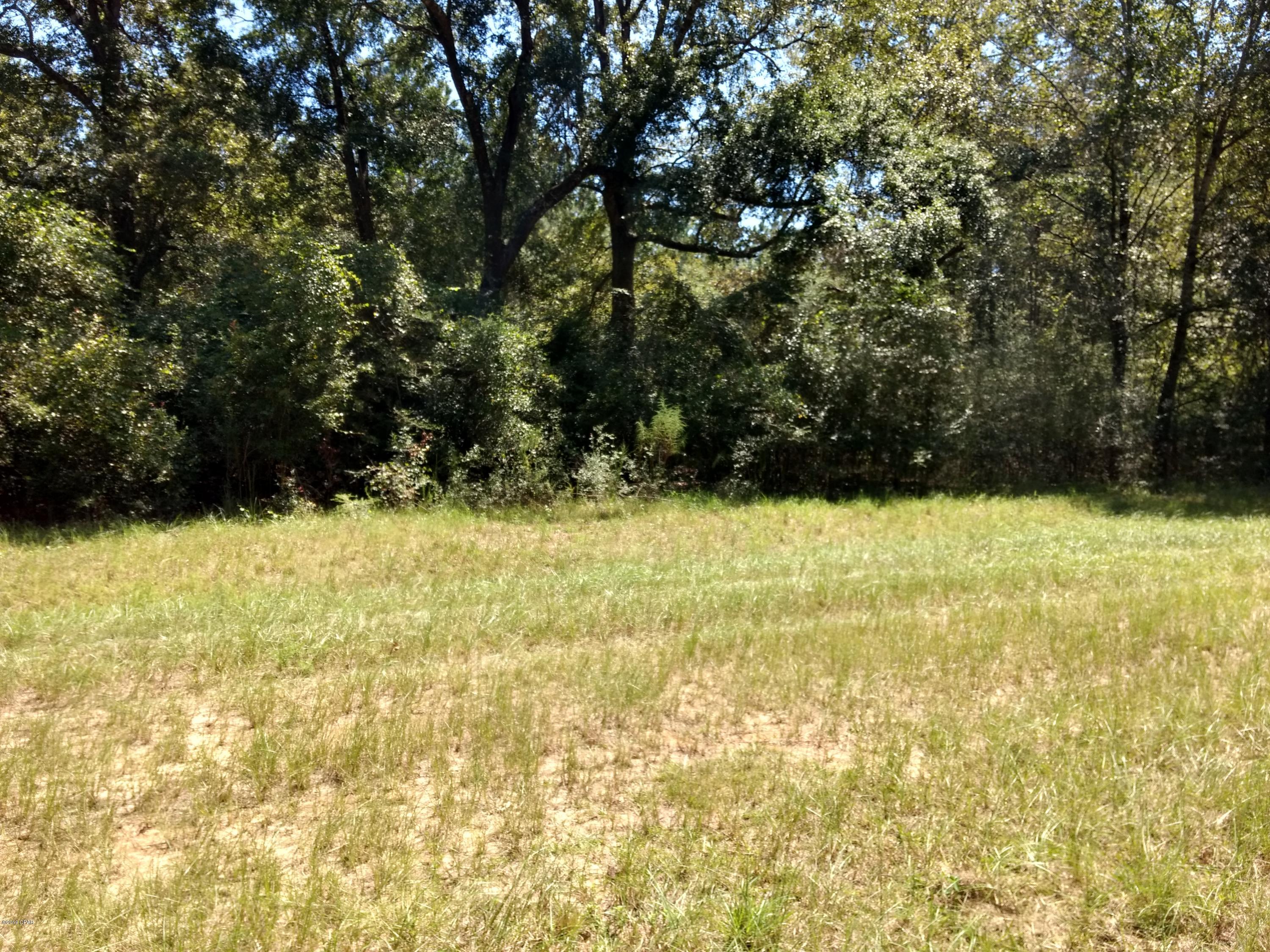 Reedy Creek - Land