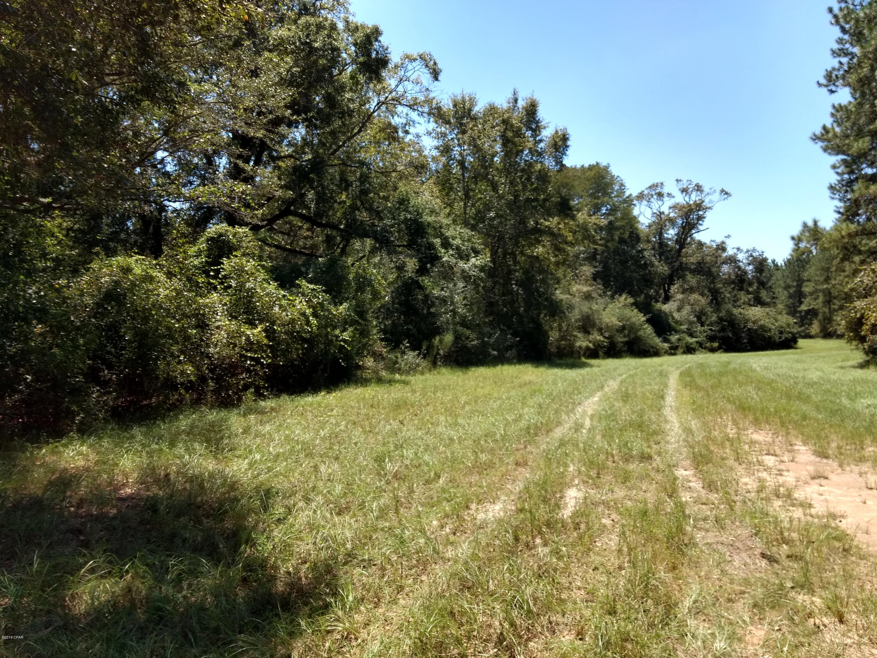 Nice wooded lot in the Reedy Creek Estates. Each lot has underground electric in place. Would make beatiful home site in secluded area. Lots of deer and wildlife in this area.
