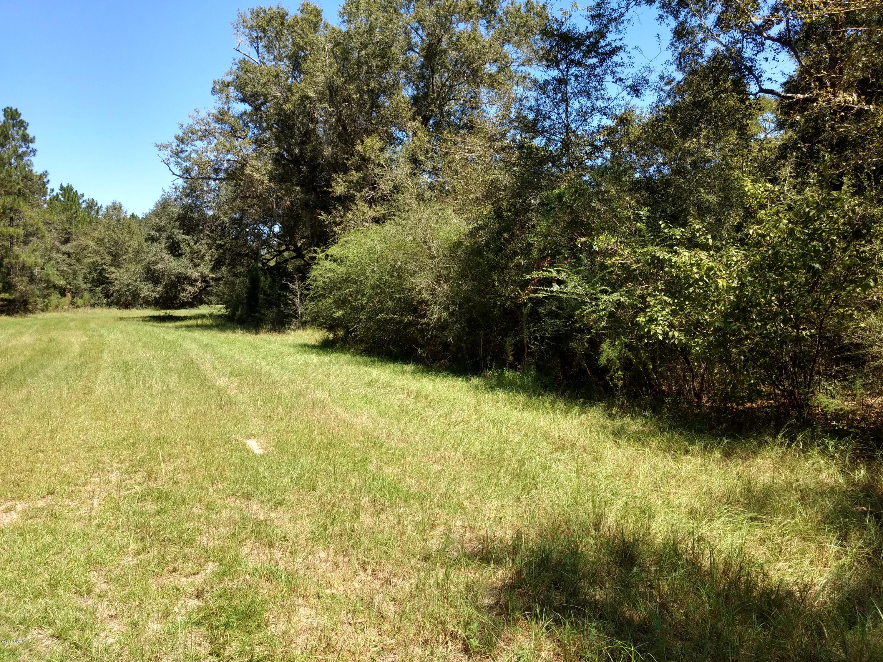 Reedy Creek - Land
