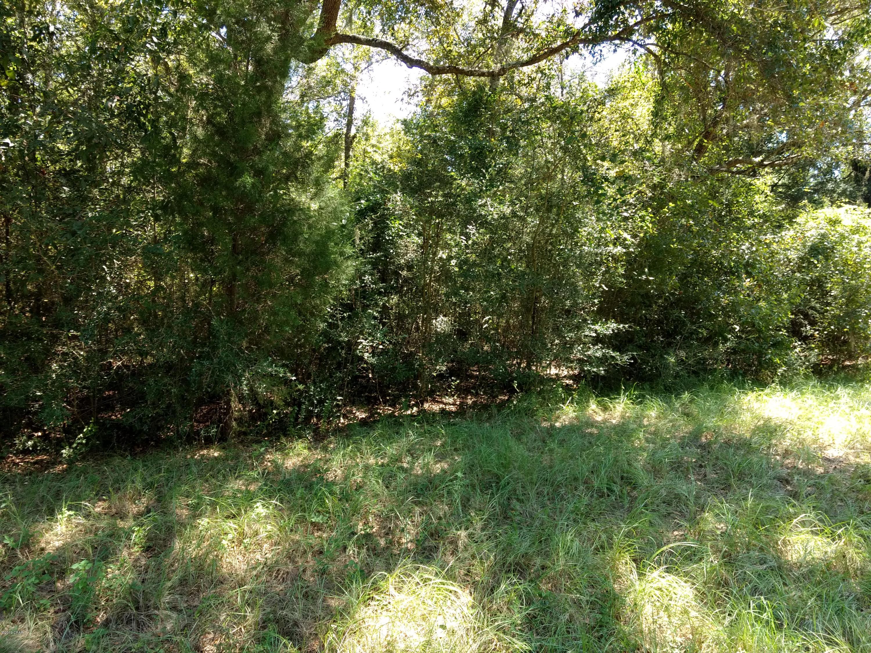 Reedy Creek - Land