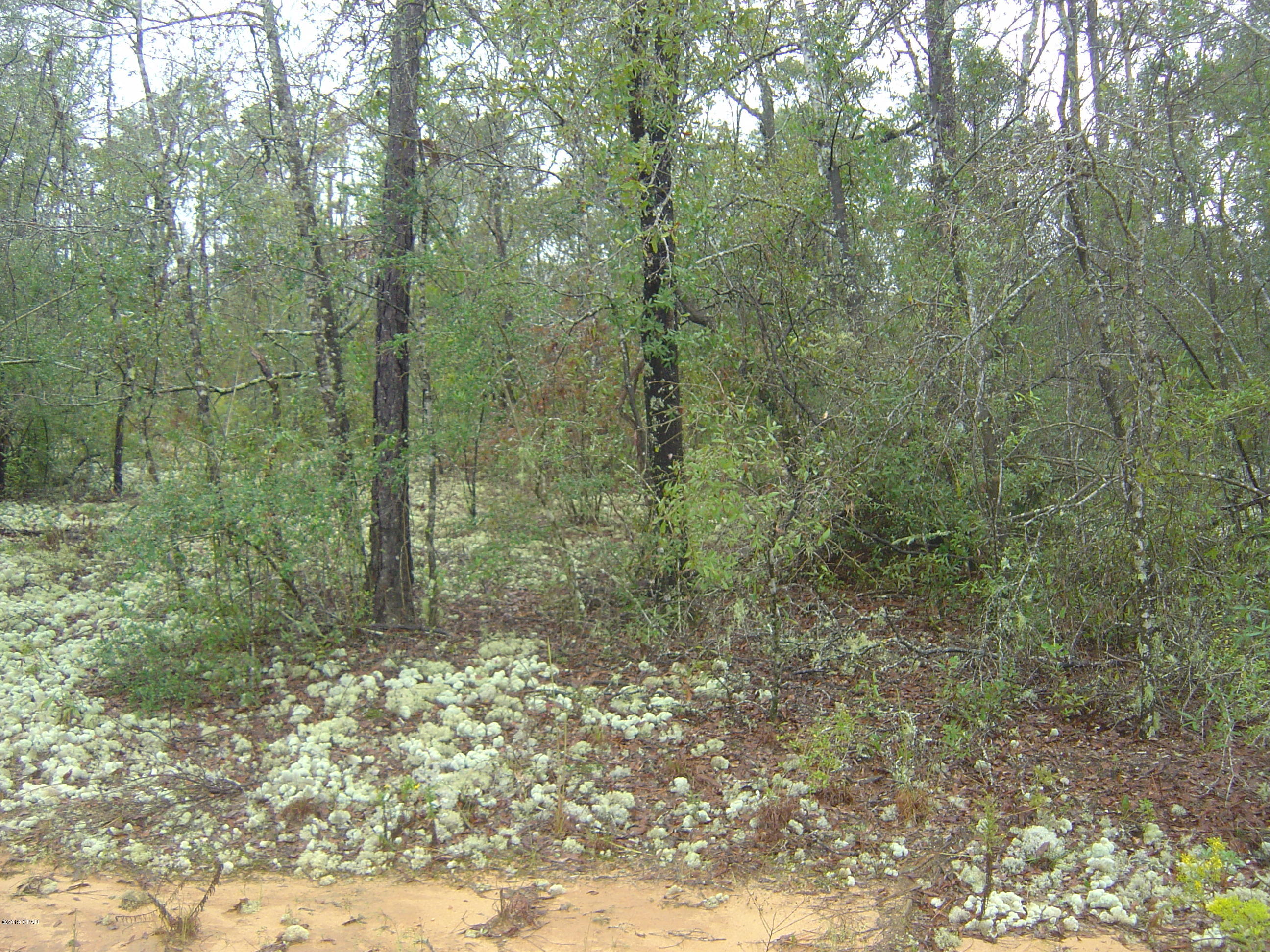 Compass Lake In The Hills - Land