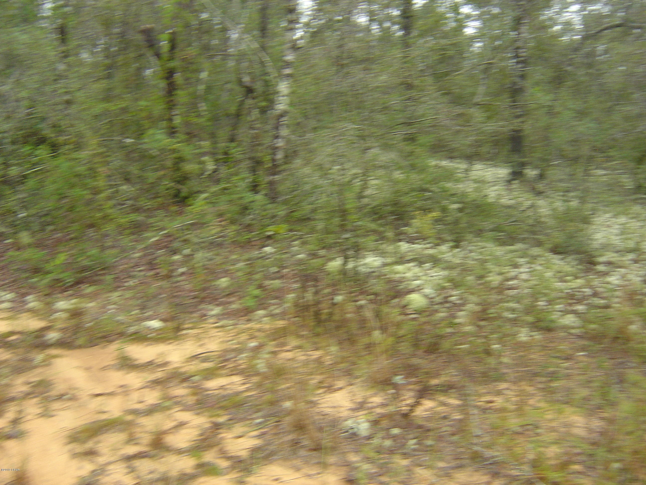 Excellent lot in CLH with all the amenities.  Conveniently located off hwy 231.  DWMH allowed in this area.