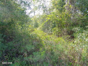 Lake Mckenzie Shores - Land