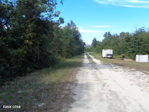 Great price for a double lot close to Lake Mckenzie. No deed restrictions .R V 'S and campers allowed. Will require a well and septic. This would make a great investment at this price. Possible owner financing with down payment.