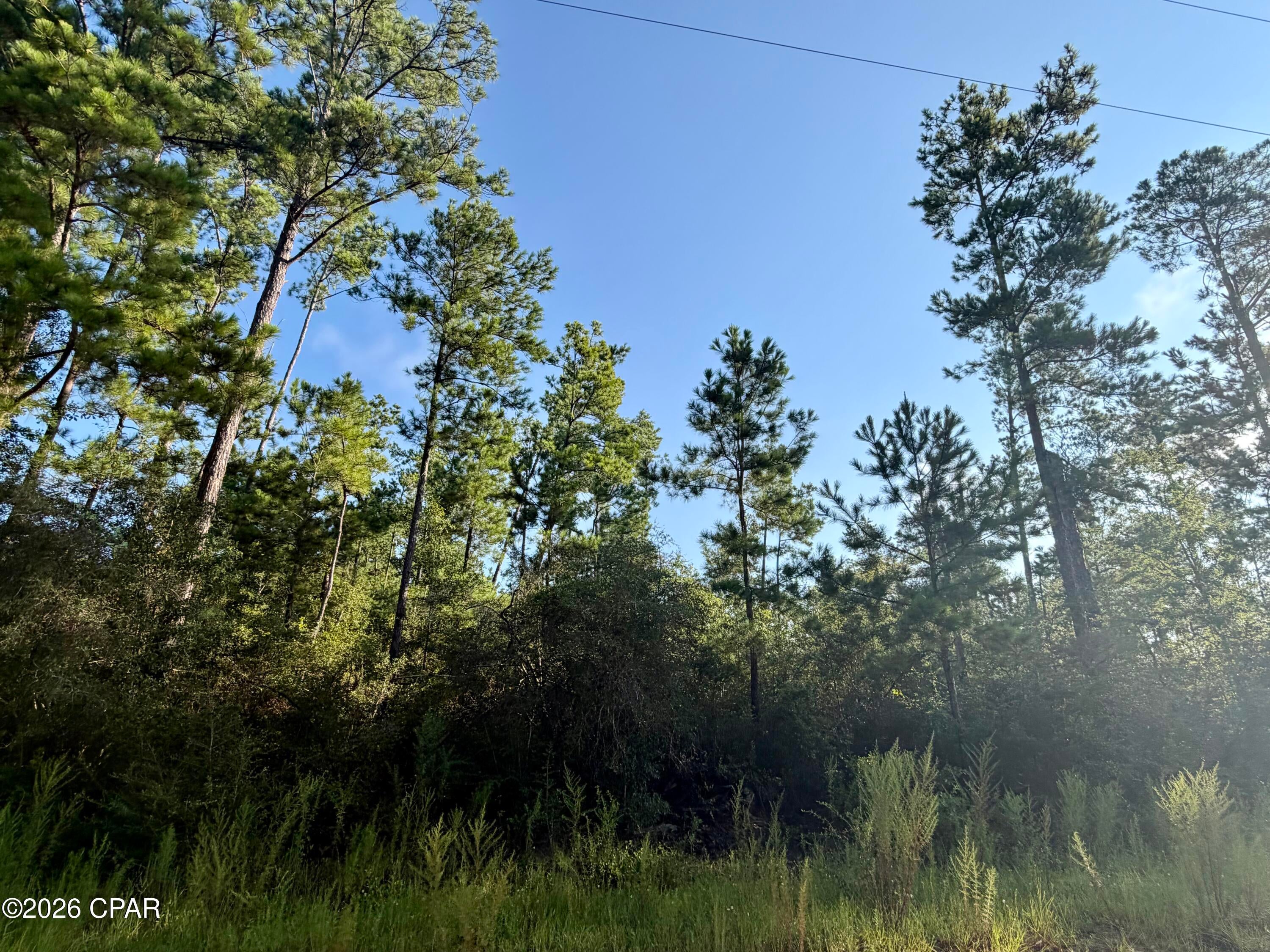 Compass Lake Hills Unit 4 - Land