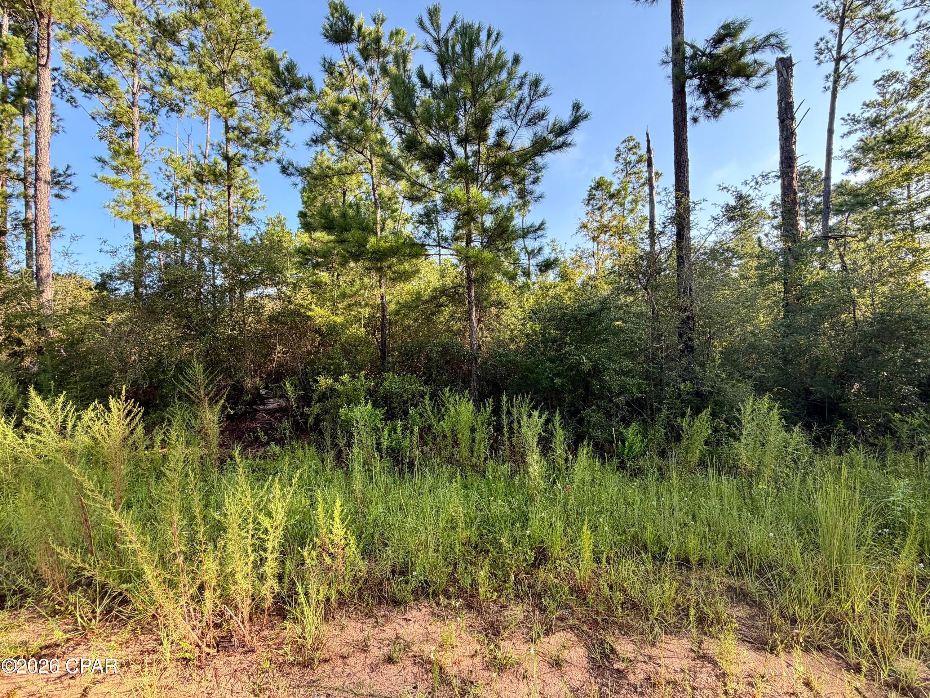 Compass Lake Hills Unit 4 - Land