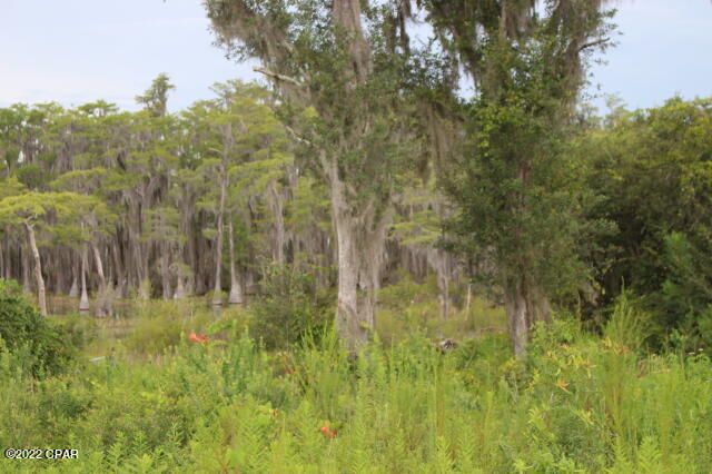 Waterfront on Lake McKenzie.  This property has a well in the ground just needs the tank & electric hookup and a septic tank.  No deed restrictions.  Great fish camp getaway or live full time on this beautiful fresh water lake.  Less than 45 minutes MOL south to Panama City to Beaches.  North to I-10.  Located on a paved road.  Property needs to be surveyed.