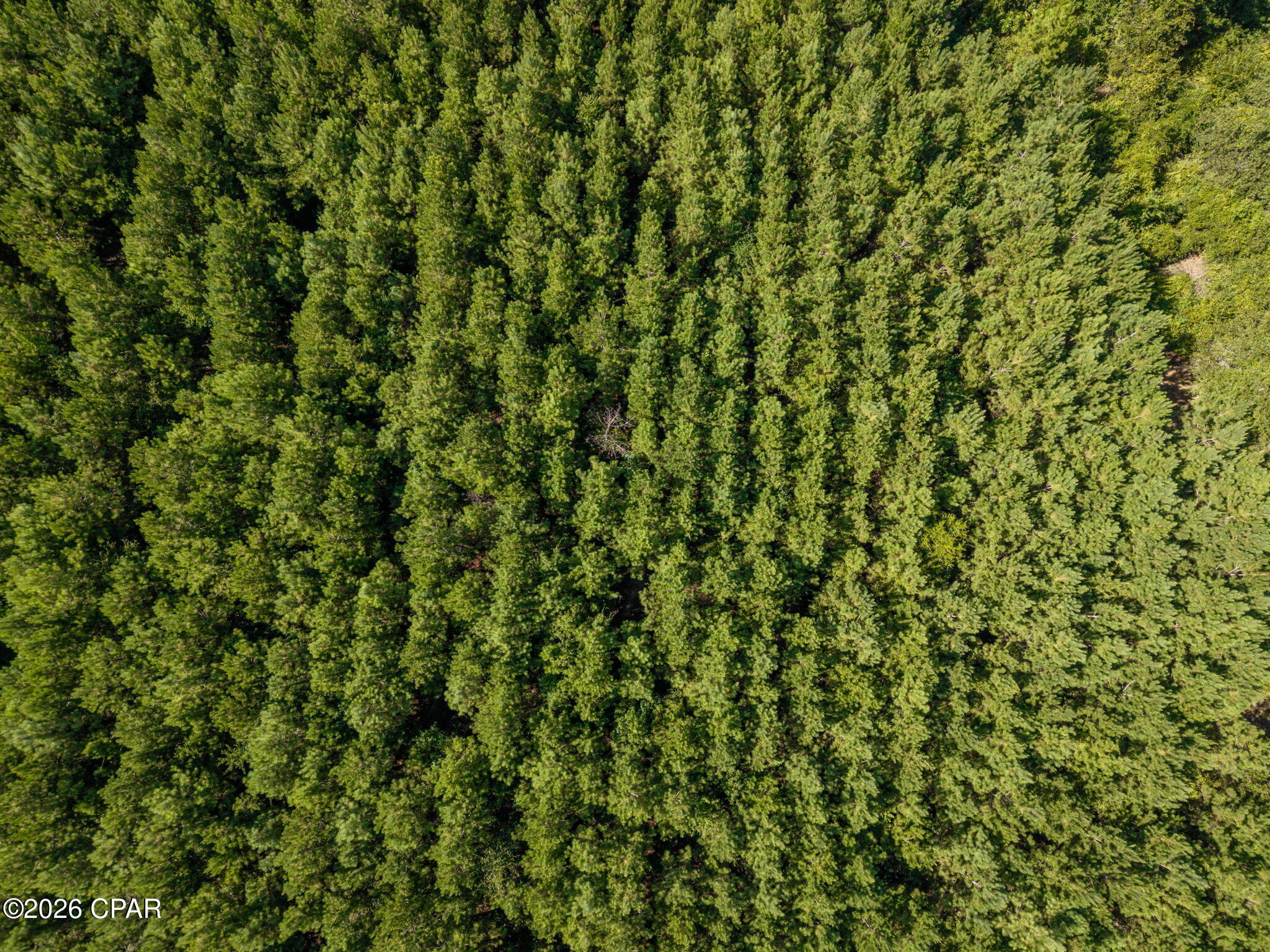 [No Recorded Subdiv] - Land