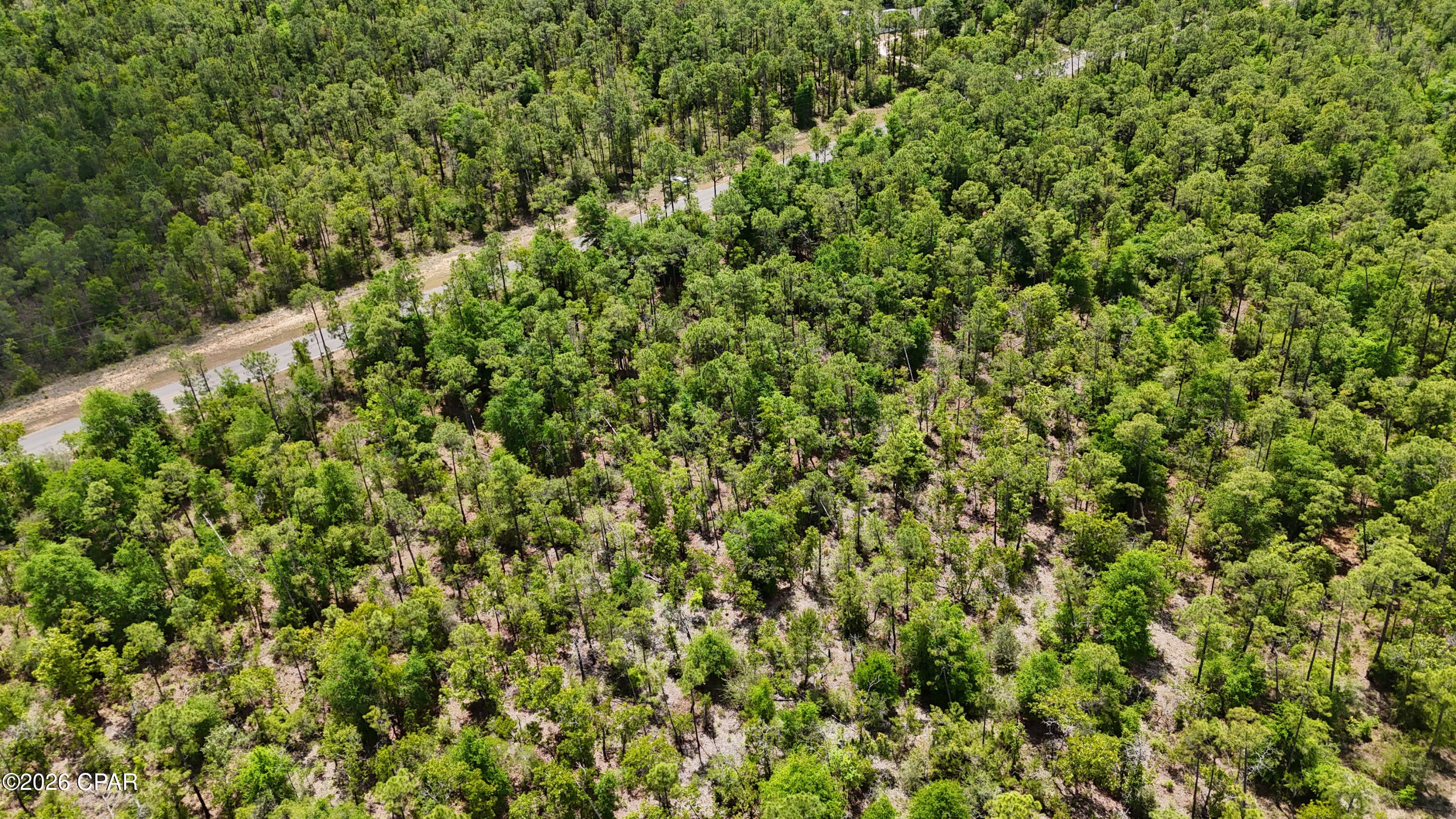 Buckhorn Creek - Land