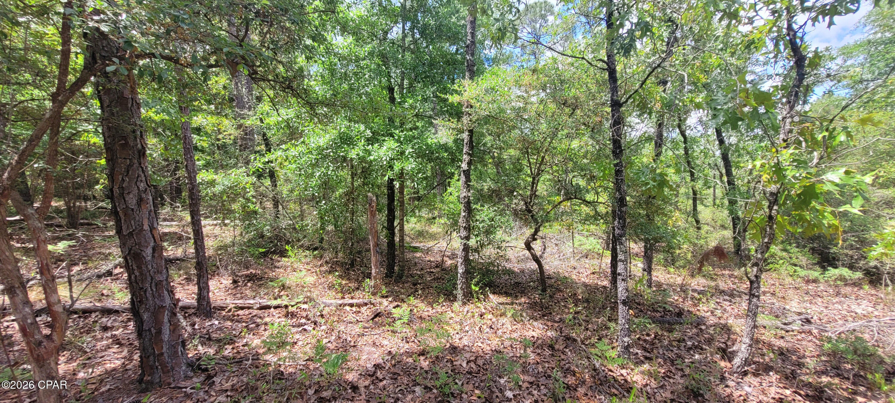 Buckhorn Creek - Land