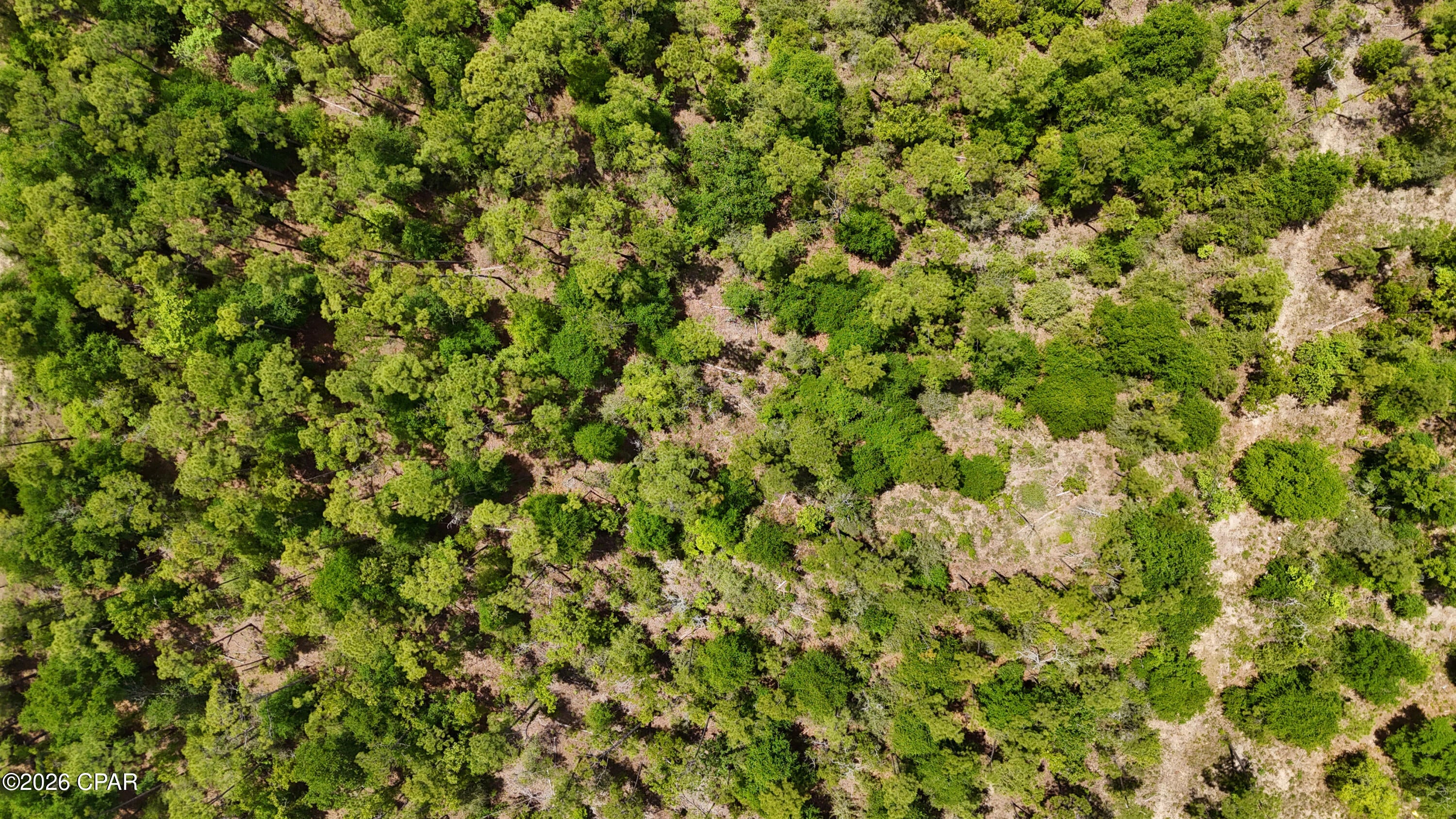 Buckhorn Creek - Land