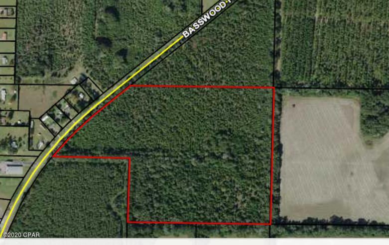 Vacant wooded land damaged by the hurricane, ideal for building or farming.