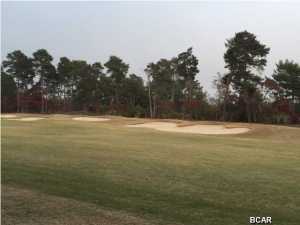 PREMIUM GOLF COURSE LOT ON THE 10th Fairway of Shark's Tooth Golf Course. One of the ''NICEST AVAILABLE GOLF COURSE LOTS''. Located in the beautiful gated community of Wild Heron, a sanctuary in 734 acres of natural preserve on the largest coastal dune lake in Florida. Lavish amenities abound! Pool, spa, state of the art fitness center, boat house with kayaks, canoes and paddle boards, grills, covered picnic pavilion, fire pit, playground, walking trails and much more! Come check out this uniquely designed development that offers the BEST IN COASTAL LIVING!