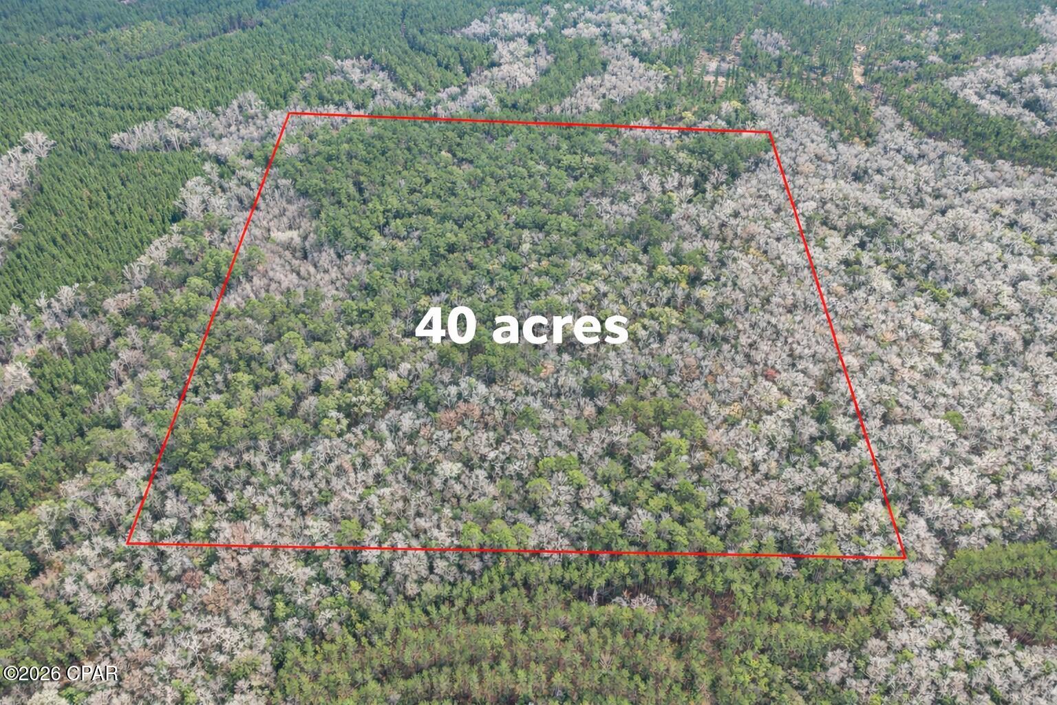 Discover the peace and privacy you've been searching for on this beautiful 40-acre tract in Holmes County. Nestled and surrounded by hundreds of acres of timberland, this property offers an ideal setting for a recreational retreat, hunting camp, or private country escape.

The land features mature timber ready for harvest, with timber reports available upon request for interested buyers. Access is convenient with a deeded easement in place, allowing easy entry to and from the property.

Enjoy true seclusion while still being within a little over an hour of Panama City Beach, FL, and just minutes from the Choctawhatchee River. Whether you're looking to set up camp, enjoy outdoor recreation, invest in timberland, or build your dream home, this versatile property offers exceptional potential.

Buyer and buyer's agent to verify all information deemed important. Schedule your showing today with your favorite agent.
