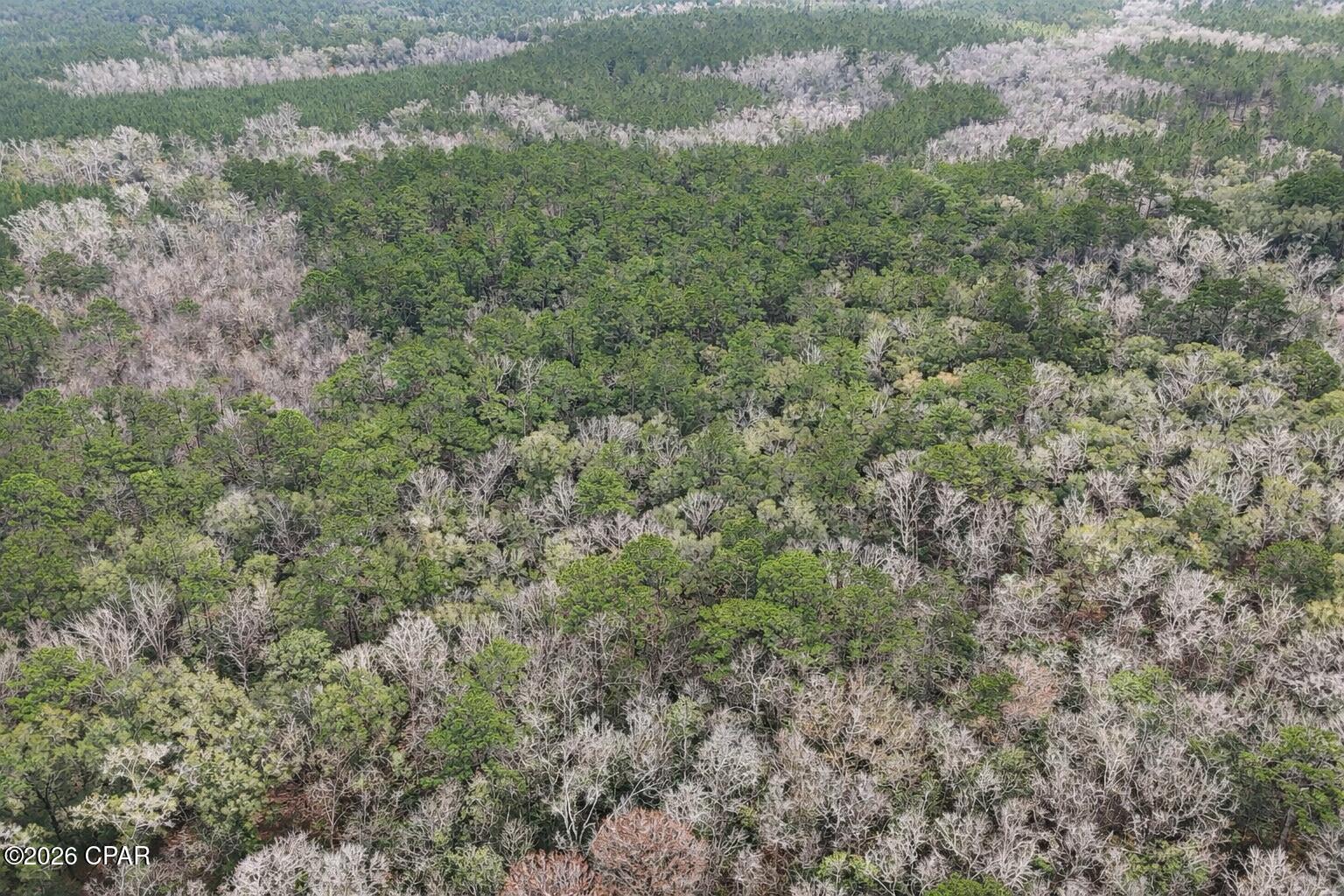 Bonifay - Land