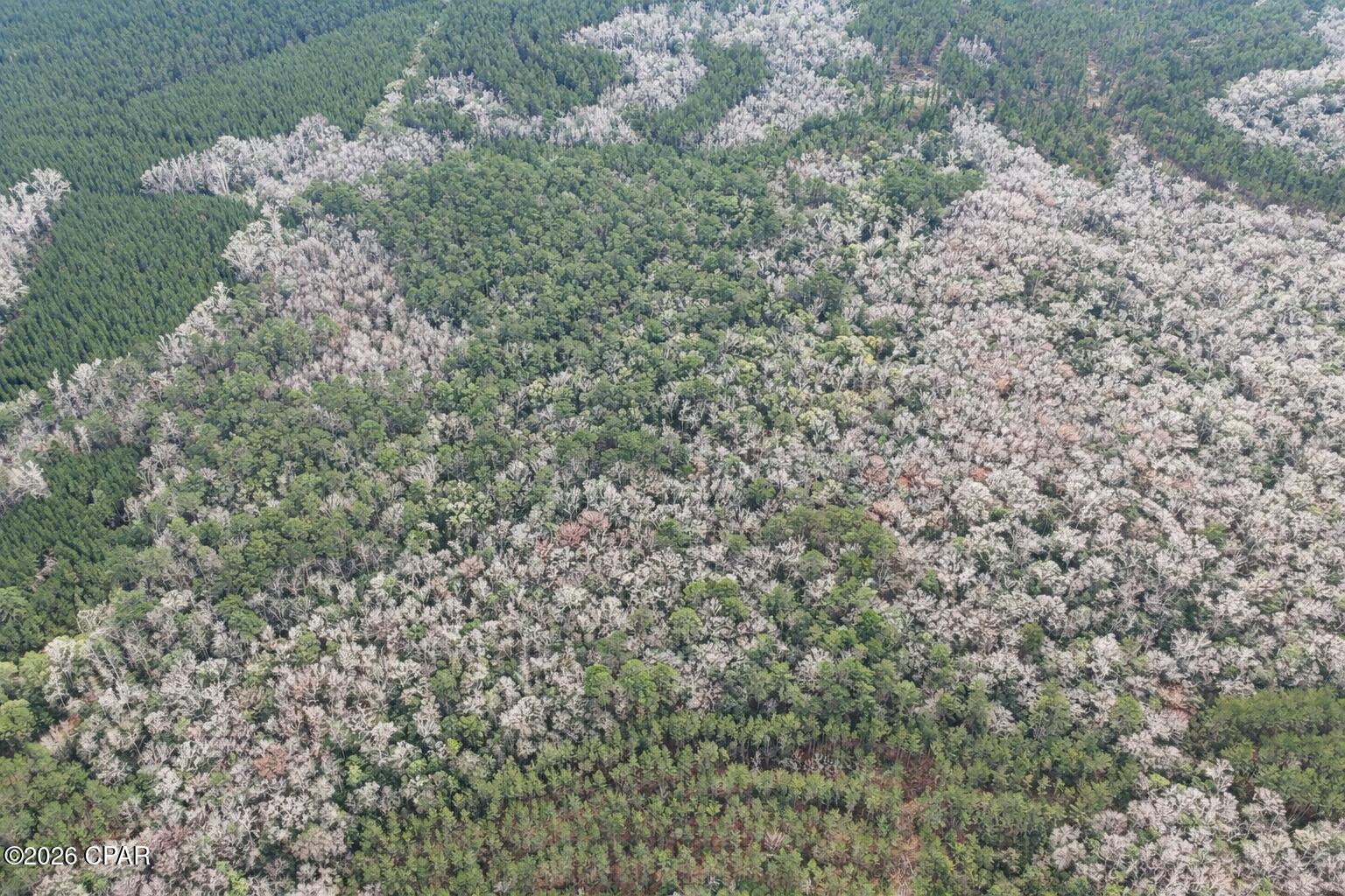 Bonifay - Land