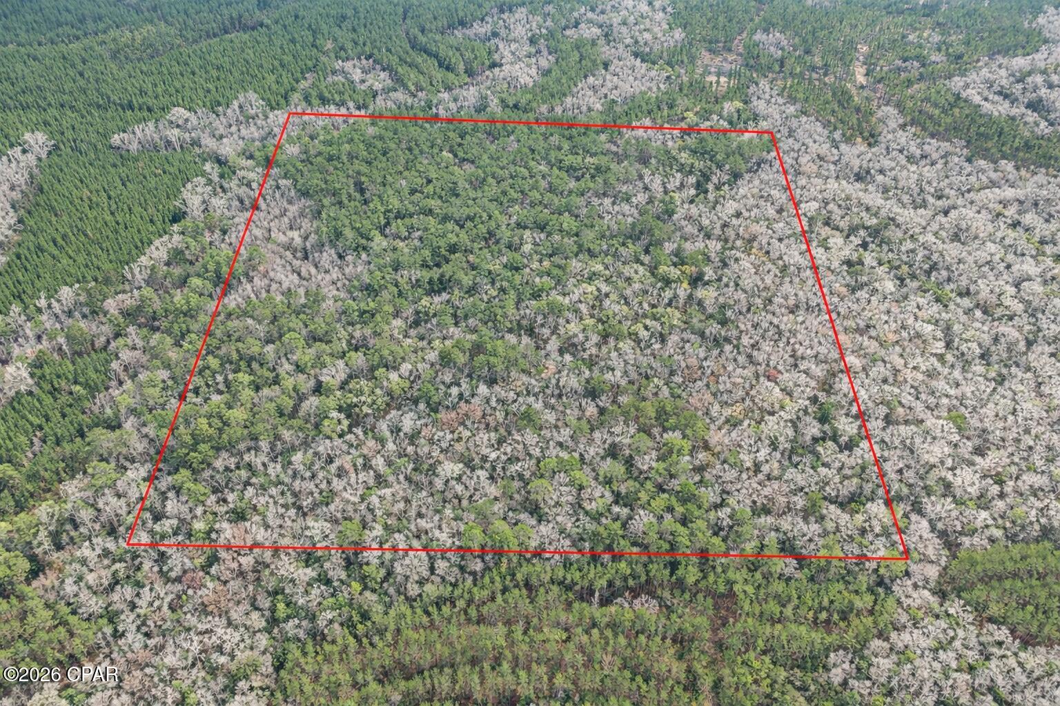 Bonifay - Land