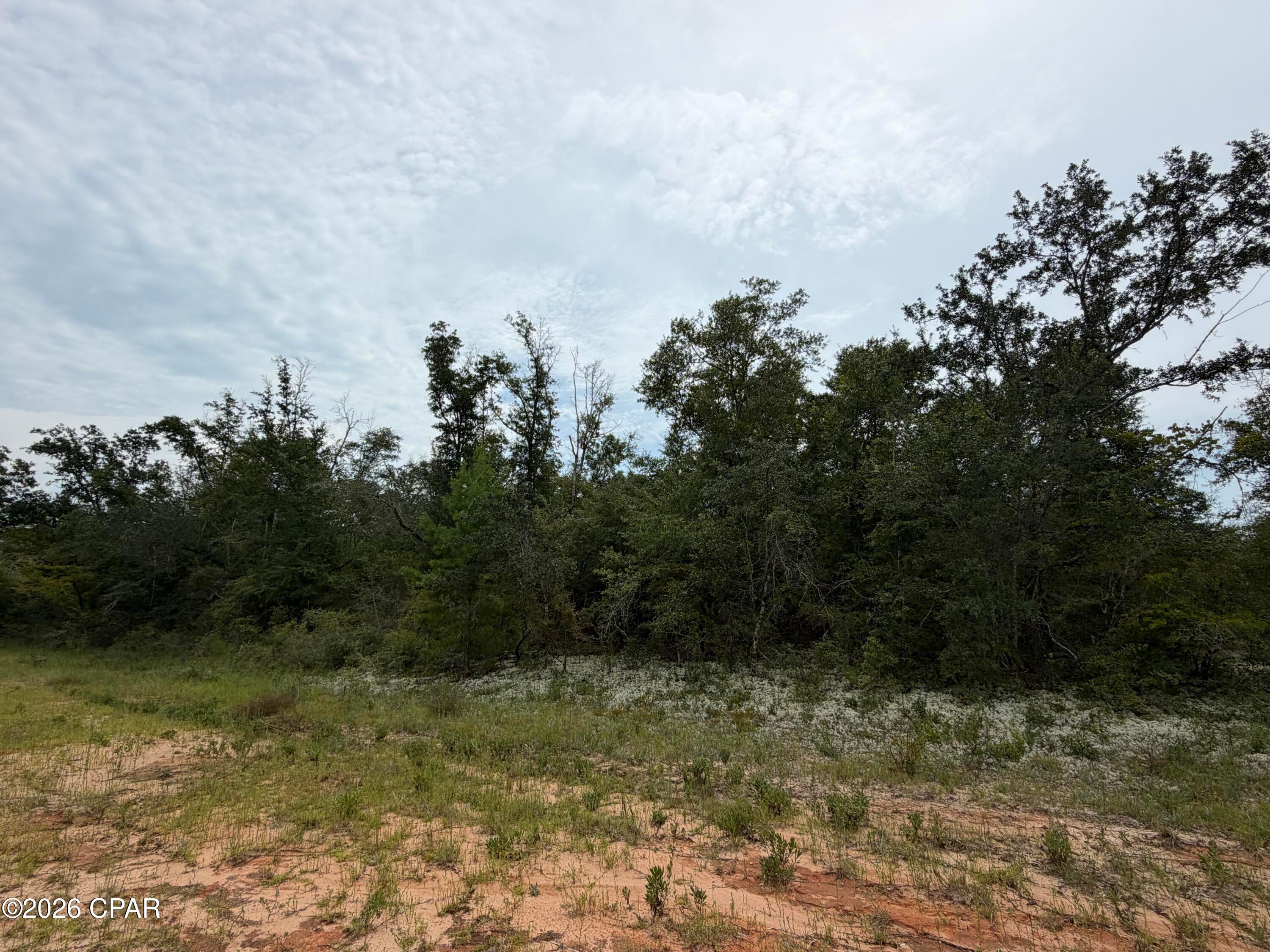 Compass Lake Hills Unit 6 - Land
