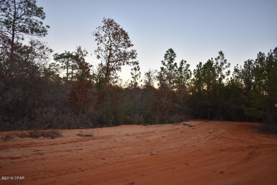 Buckhorn Creek - Land