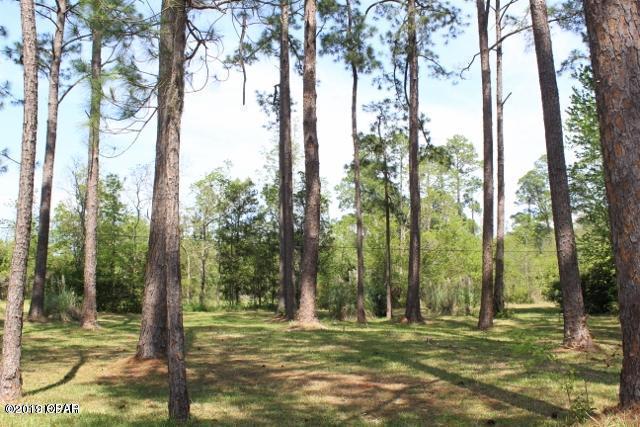 St A B Pecan & Fig Grove - Land
