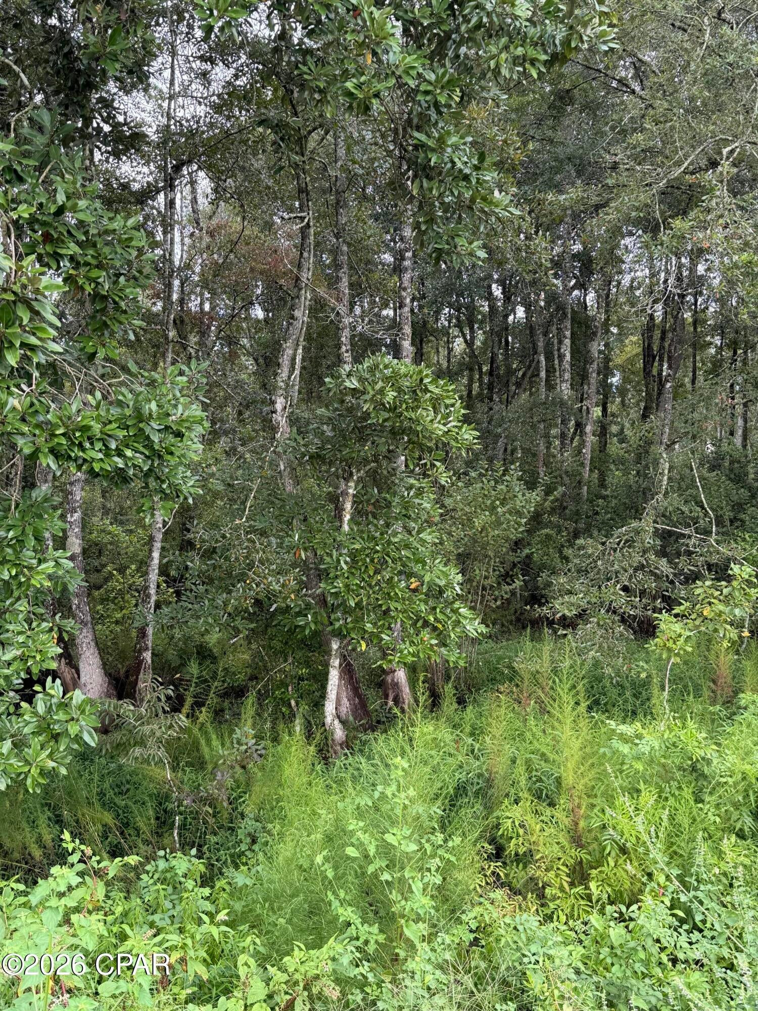 [No Recorded Subdiv] - Land