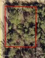 Build your dream on this secluded lot in the Fountain area of Bay County. Just a short drive to the world's most beautiful beaches, natural Florida Springs, and all the conveniences and luxuries of the Panama City area while still having your own quiet place to get away from it all. Call your favorite Realtor today to learn more about this property.