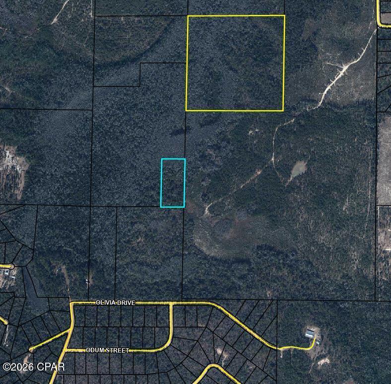 5 undeveloped Acres in Compass Lake

Property is landlocked and will need deeded access from neighboring property owner