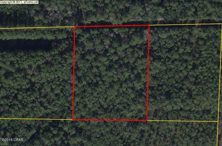: 5 ACRES EAST OF HWY. 231 ACROSS FROM INTERSECTION OF HWY.231 AND HWY. 390., FLOOD ZONES A AND X. PRICED TO SELL MAKE AN OFFER.