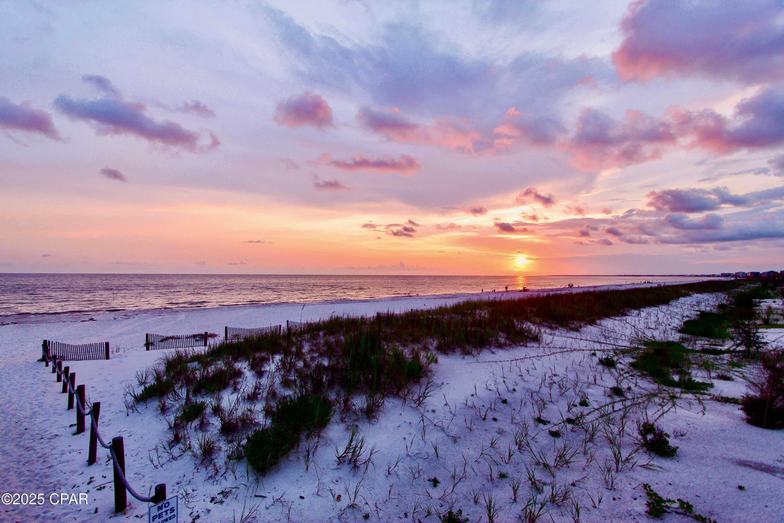 Ocean Plantation - Land