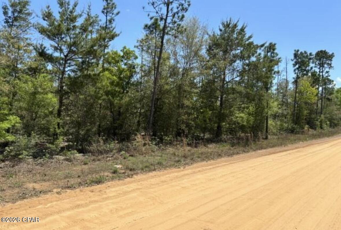***ABOUT ONE MILE FROM 231!!!*** This 10 acre(non flood zone) high and dry parcel would be the perfect lot to build a dream home on! As an added bonus you could subdivide it, sell off 5 acres and still have an amazing homestead. The possibilities are endless. Less than 15 minutes to I-10 and no more than a half a hour from Panama City/Panama City Beach!! All information is approximate and should be verified by buyers if important
