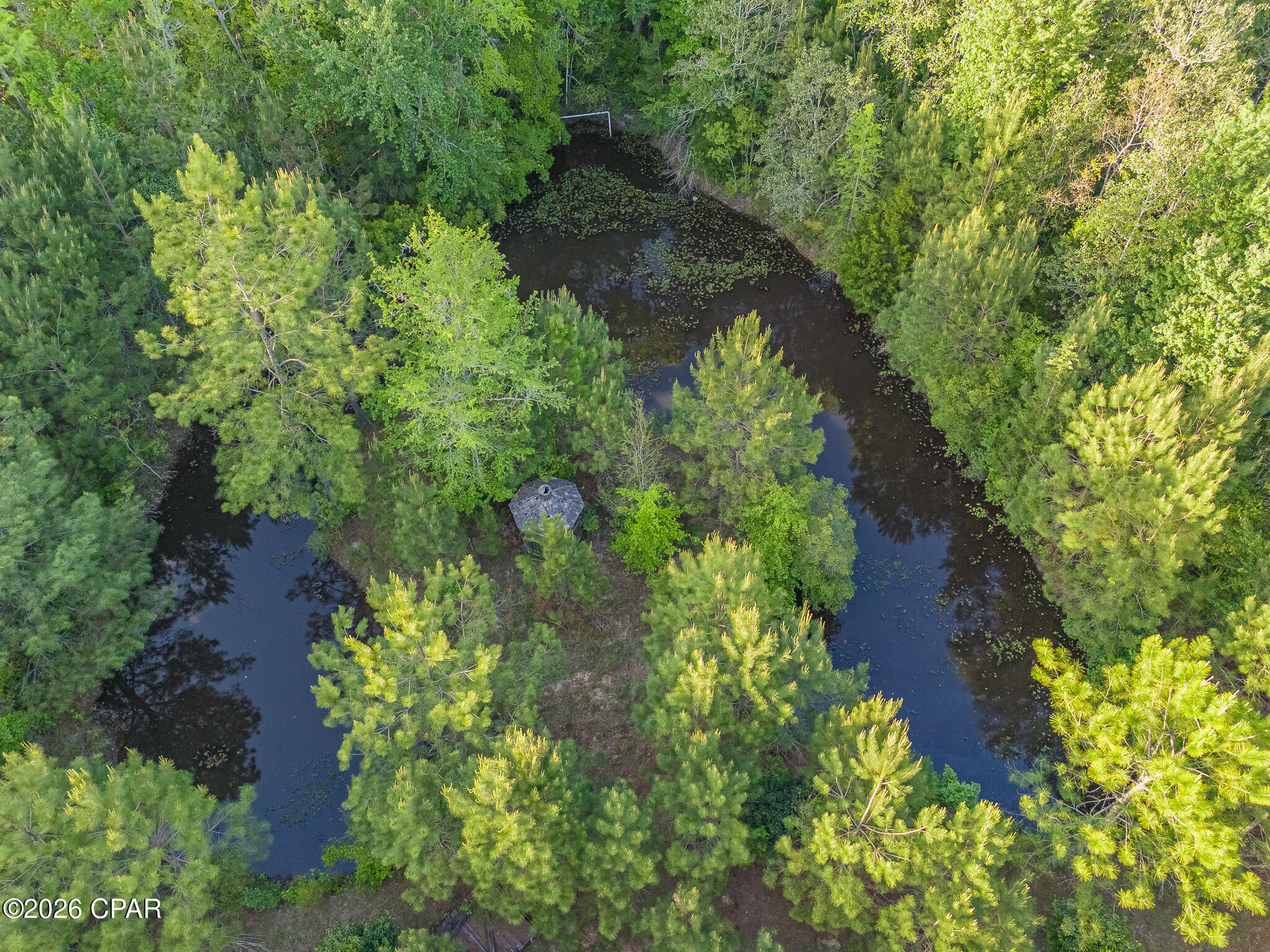Looking for your own outdoorsman's paradise? This 38± acre property just minutes from downtown Chipley offers a rare opportunity to create a private retreat built around hunting, fishing, wildlife, and the freedom of country living.

Imagine building your home or cabin surrounded by woods, stepping outside to hunt your own land, spending the afternoon fishing the property's large horseshoe-shaped pond, and ending the day relaxing by the water. With abundant wildlife, wooded acreage, water, and existing trails, this property already has the ingredients for the outdoor lifestyle -- you get to decide what it becomes.

Existing trails wind throughout the acreage, providing access for ATVs, side-by-sides, horseback riding, hiking, hunting, and exploring your own property. Keep the woods natural for wildlife and hunting, carve out areas for food plots or pasture, create additional trails, or bring the horses and establish the country homestead you've always wanted.

The property consists of two parcels with two separate access points directly off Hwy 90, providing flexibility for accessing and using the land. Power is available on the property, giving you a valuable starting point when you're ready to build.

The horseshoe-shaped pond creates a natural centerpiece for the property. Fish from your own backyard, watch wildlife come to the water, or picture a future home where your morning coffee comes with a view of the pond instead of the neighbors.

Whether your dream is a hunting retreat, fishing getaway, horse property, family homestead, or simply 38± acres where you can escape and enjoy the outdoors, this is a blank slate with tremendous potential.

Bring the hunting gear. Bring the fishing poles. Bring the horses and the side-by-side. Come walk the land and imagine your own Northwest Florida outdoorsman's paradise.