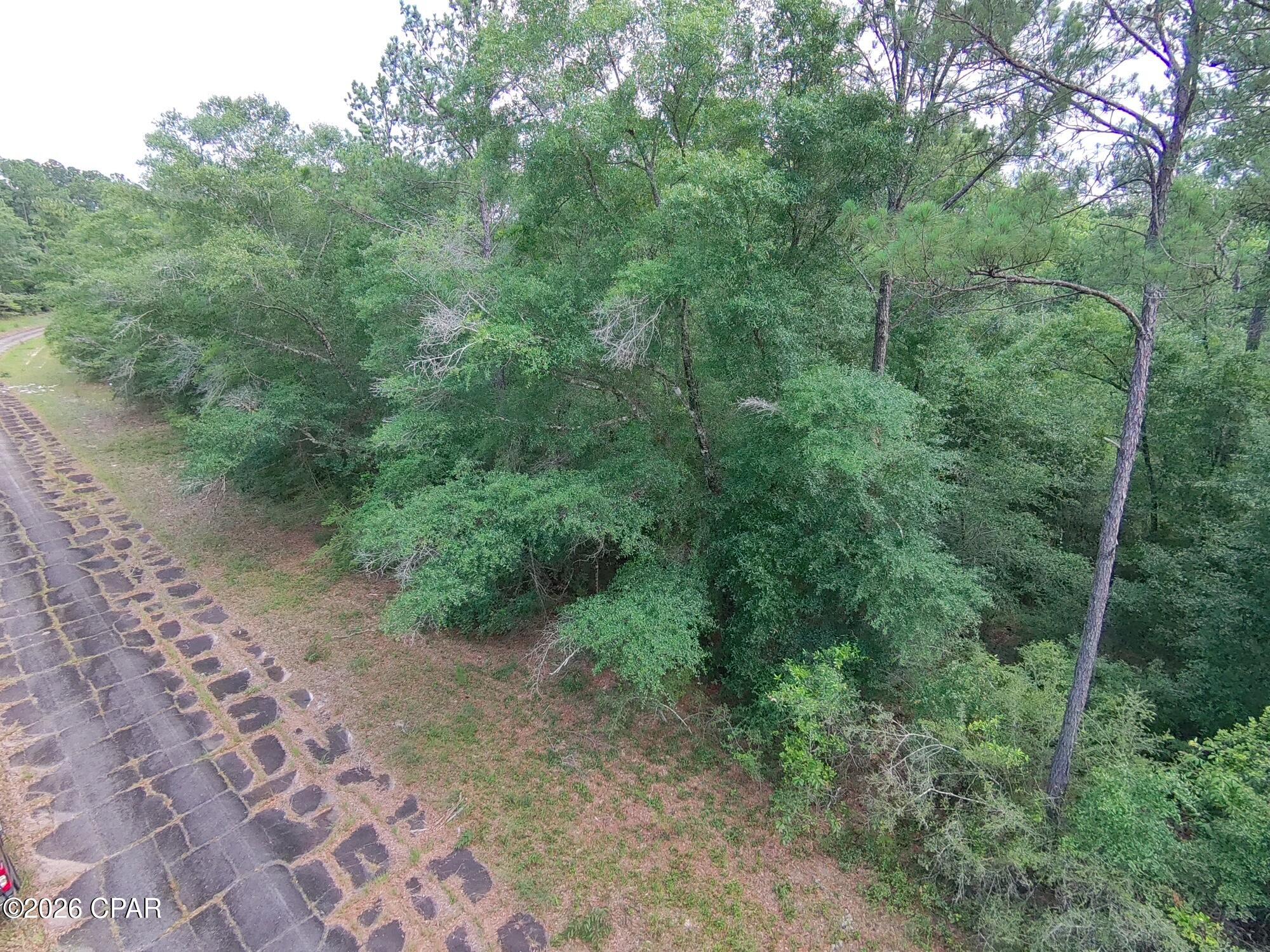YOUR PRIVATE WOODED PARADISE AWAITS! Discover an incredible opportunity to own an oversized 0.495 acre lot in Unit 7 of Sunny Hills, one of the community's most peaceful, private, and undeveloped areas. Lot 38 on Birchwood Drive offers the space, serenity, and natural beauty you've been looking for at a price dramatically lower than many quarter-acre lots in the subdivision! 

Birchwood Drive is surrounded by quiet, largely undeveloped roads beautifully canopied by mature trees, with the surrounding woods teeming with wildlife. 
And, the opportunity gets even better...
the adjoining Lot 39 is also available from the same seller, for the same price! Imagine owning both lots and creating your very own nearly 1 acre wooded paradise. Even more impressive, Lots 38 and 39 both back up to a massive 141 acre Deltona-owned greenspace, providing an exceptional natural buffer and no neighbors directly behind you. Beyond that 141 acre parcel is an additional 395 acre privately owned parcel... meaning there are more than 500 acres of protected and private lands extending behind these lots! That combination of size, privacy, natural beauty, and bargain pricing is hard to find. Opportunities to purchase nearly half an acre--or combine two adjoining lots for almost a full acre--in such a private setting simply do not come along often.
Don't wait! Call today to secure Lot 38 or ask about purchasing both Lots 38 & 39 before this rare opportunity is gone! *** Seller is a licensed real estate agent ***