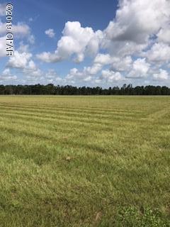 Country Living is waiting for you on this gorgeous 11 acre cleared parcel!!  There are several spots for you to build your new dream home. 

Call for your personal viewing today!!!!



This is coming out of a larger parcel and buyers will have to have a survey done.

This is located on a recorded easement road.