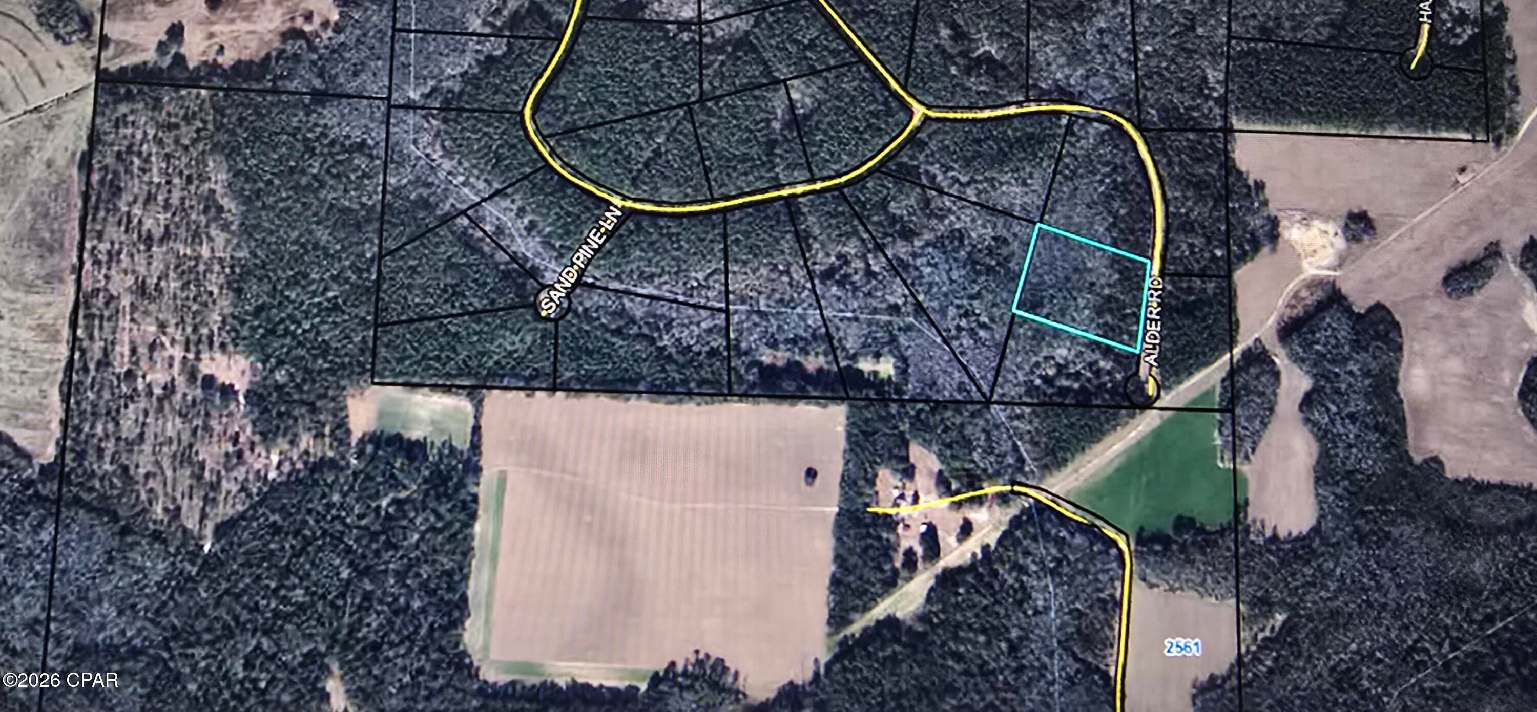 Reedy Creek - Land