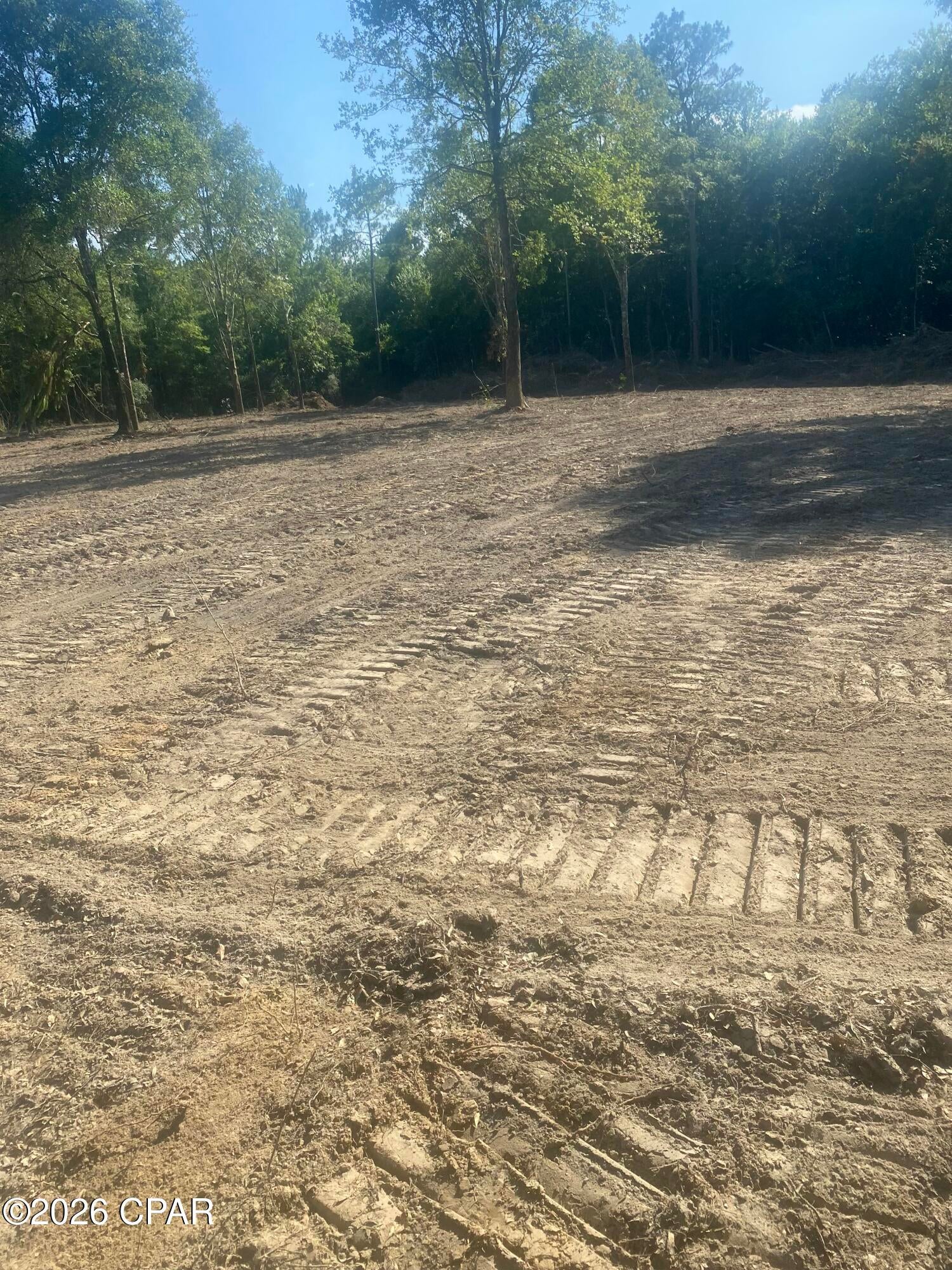 Reedy Creek - Land