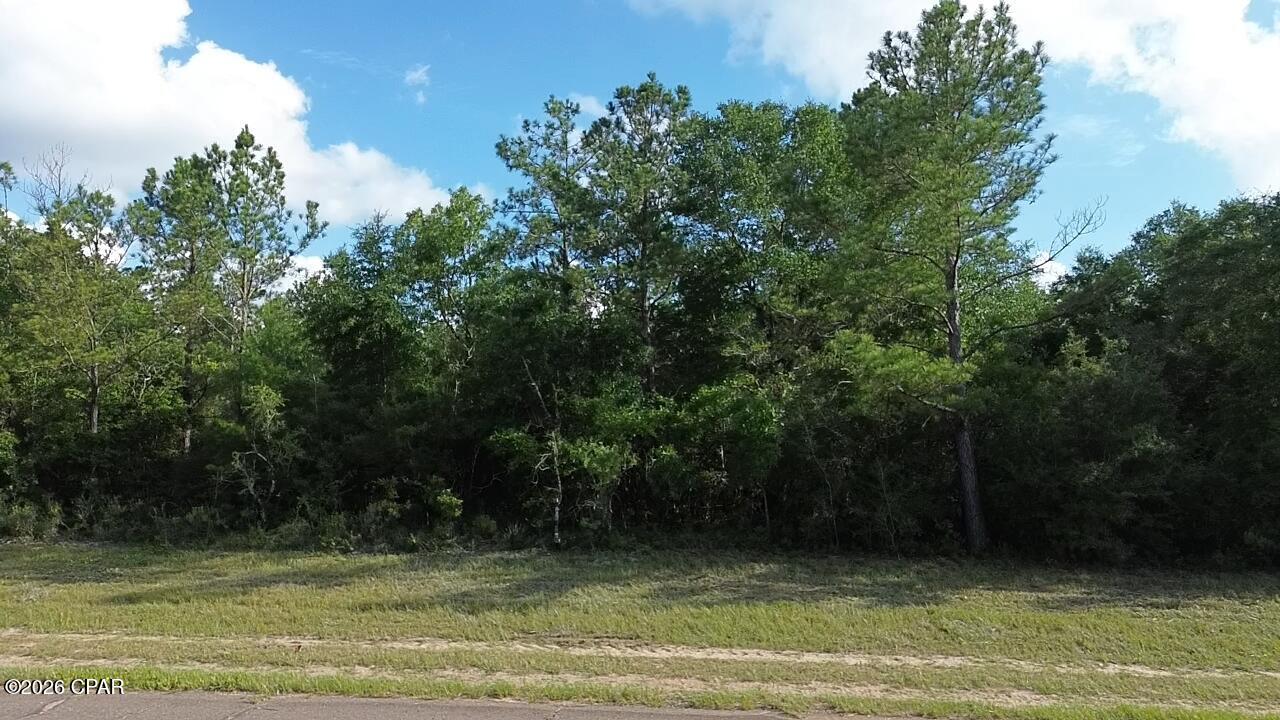 Sunny Hills - Land