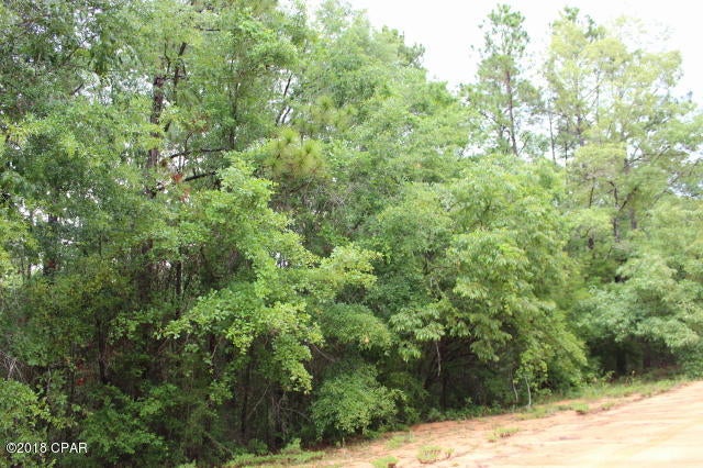 Compass Lake In The Hills - Land