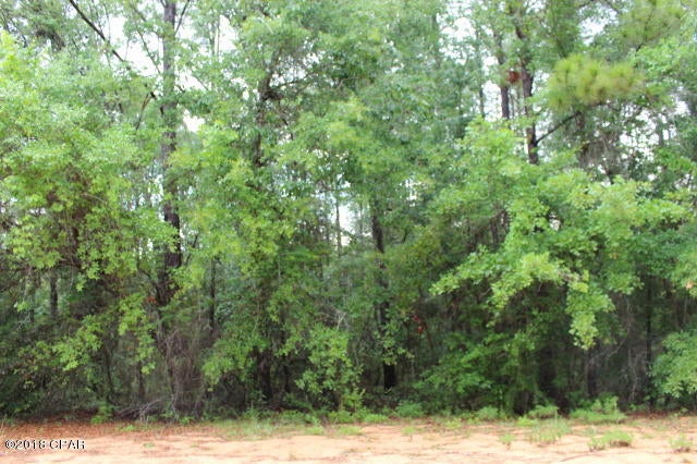 Wooded Residential building lot located on a Dead End street close to the Main Club house in Compass Lake in the Hills Subdivision. Adjoining Lot 7 MLS 672048 also available for purchase, same owner, can be purchased together as one. All property owners are entitled to all amenities: access to Compass Lake & McCormick lake for boating, swimming & fishing. 2 Clubhouses, in ground pool, tennis courts, boat & cabin rentals, plus so much more. See POA by laws & restrictions at https://compasslake.org/poa/