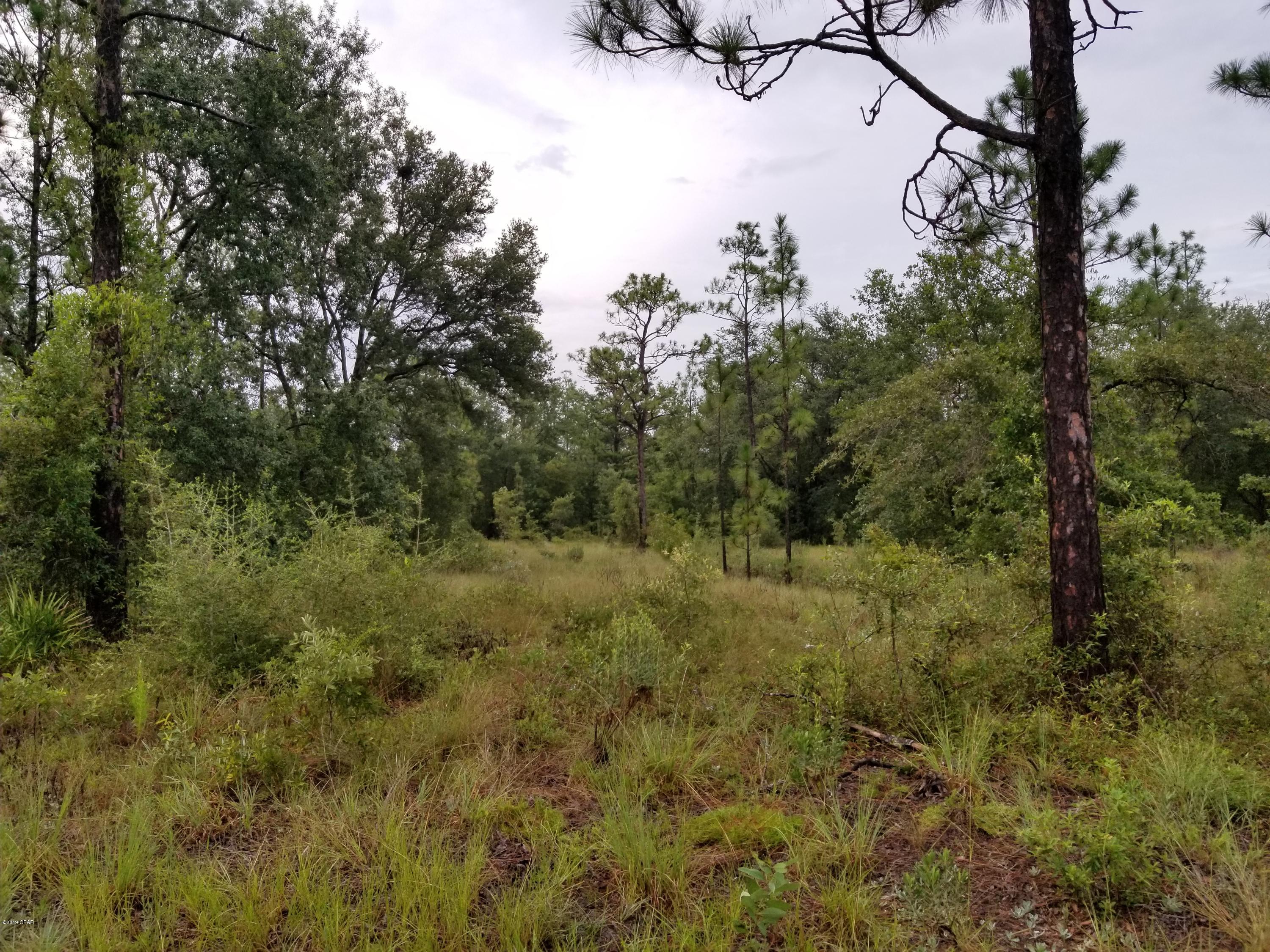 This 3.6 acre flat lot is very close to the big lake and recreation area, a 2-minute walk. It is adjacent to a corner lot across the street to the large lake where most of the amenities are located.  The recreation area includes a swimming pool, basketball court, tennis court, toddler playground, pavilion with men's and women's restrooms, boat launch, swimming beach and more. The lot is wooded but has been cleared a little. There is a mix of live oak trees and pines. This would be a wonderful place for a permanent home or weekend getaway home. After dinner just take a walk across the street to the lake and watch the sun go down. Property owners have a private unique code for entry. Live security guards are at the entrance gate weekdays from 8 a.m. to 4 p.m.