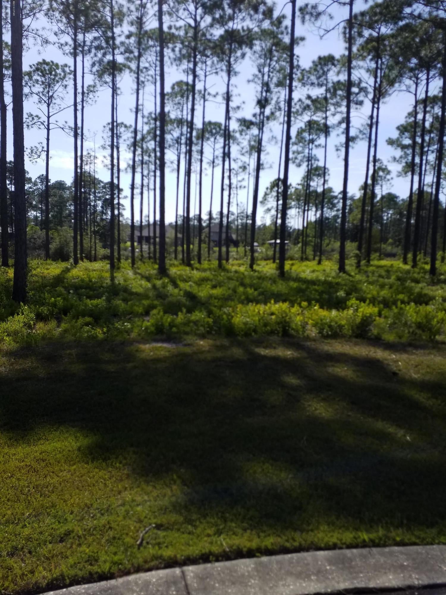 Laird Bayou - Land