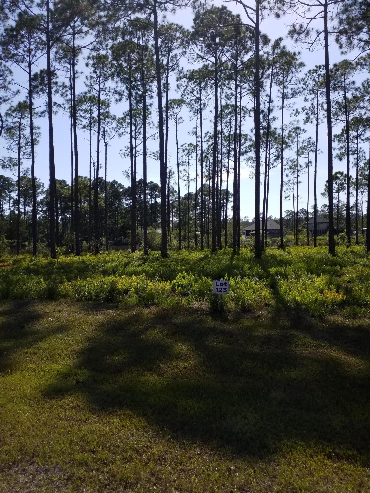 Laird Bayou - Land