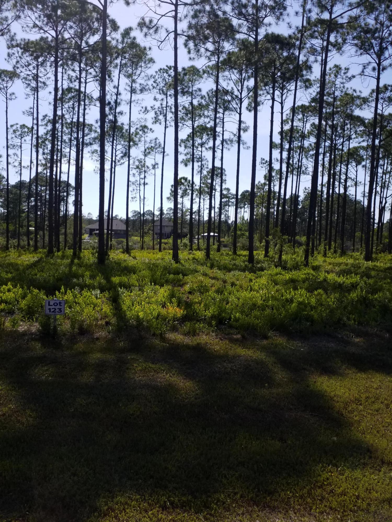 Laird Bayou - Land