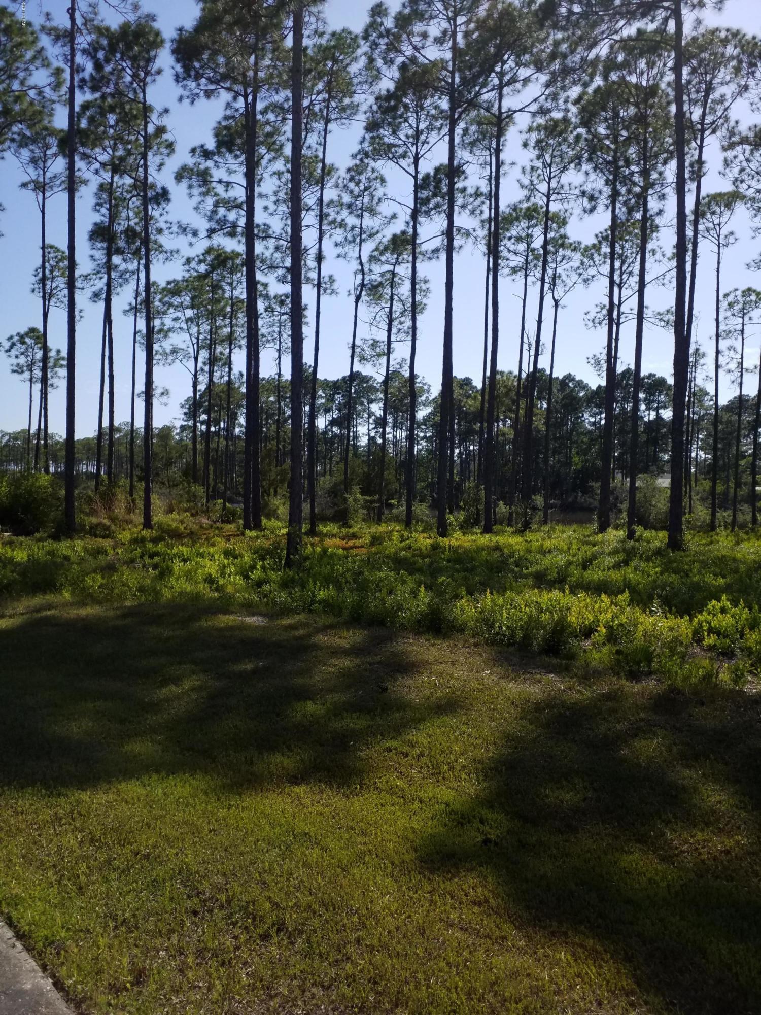 Laird Bayou - Land