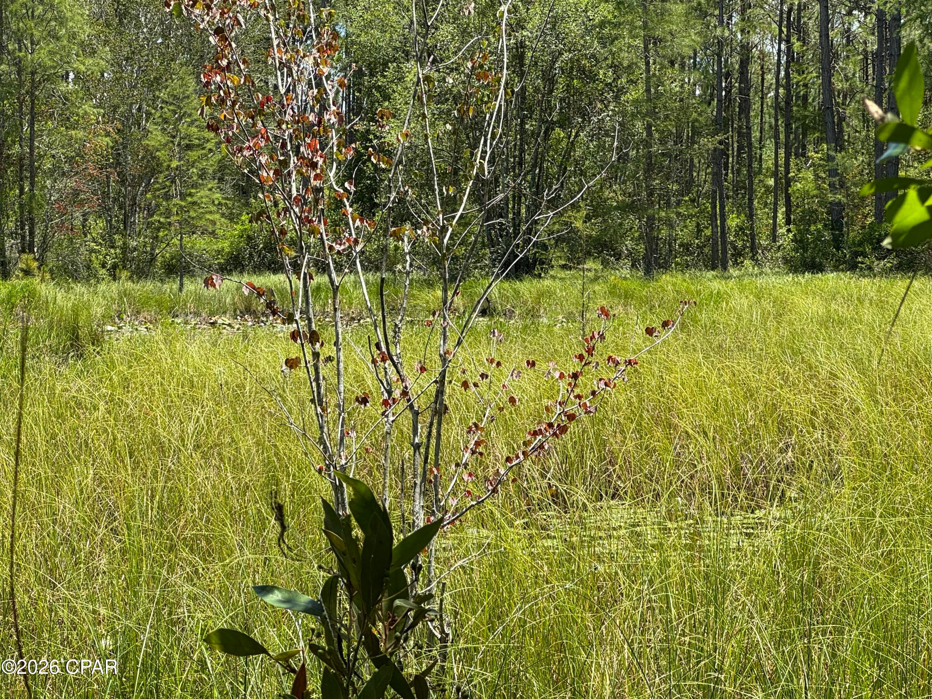 Other - Land