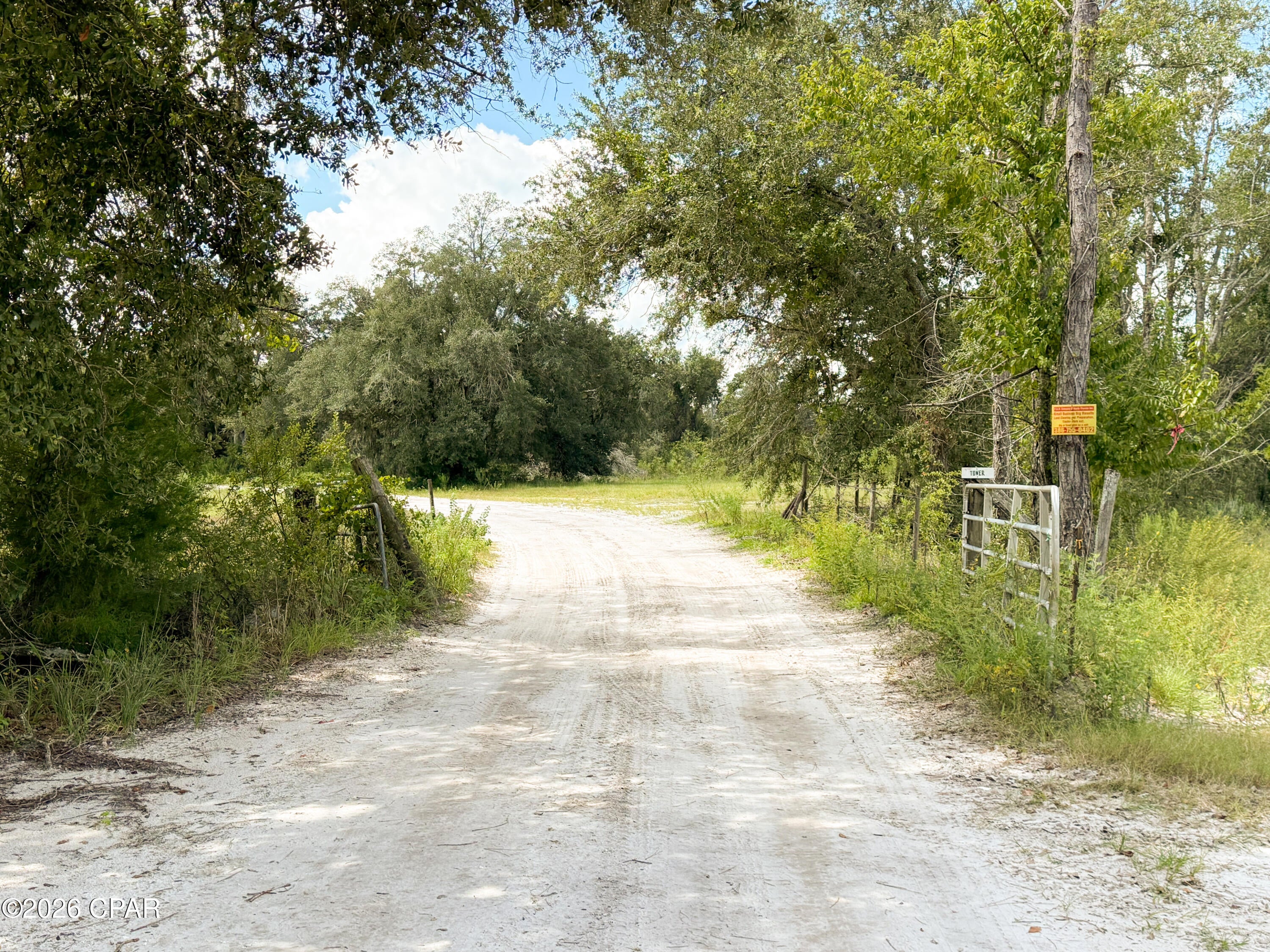 Introducing ''Madison 74'' - a place where you can leave the everyday routine behind, spend time outdoors, and enjoy your own land. This 74+/- acre tract in beautiful Madison County, Florida, has the makings of a great hunting property--quiet dirt road access, mature pines, natural cover, and plenty of room to get off the beaten path and into the woods.
Accessed by dirt road, the property has the kind of secluded, rural feel that Florida hunters and outdoor lovers appreciate. The acreage is predominantly wooded with mature pines, creating a peaceful setting and providing natural cover for wildlife. On the north side of the property is a marsh pond, adding another natural element to the landscape and creating an attractive area for wildlife.
With 74+/- acres, there is plenty of room to establish food plots, set up hunting stands, create trails, or ride ATVs. Whether you're an avid hunter looking for your own place to spend hunting season or an outdoor enthusiast wanting a private recreational retreat, this property gives you the space and freedom to make it your own. 
If you've been looking for a sizeable piece of land where hunting and enjoying the outdoors come first, this one deserves a look. Call today for more information.

Key Features:
• 74 acres of private hunting and recreational land 
• Mature pine timber providing natural wildlife habitat 
• Marsh pond along the north side of the property 
• Dirt road access offering a secluded, rural setting 
• Excellent hunting potential for deer, turkey, and other North Florida wildlife 
• Plenty of room for food plots, stands, trails, and ATV riding
