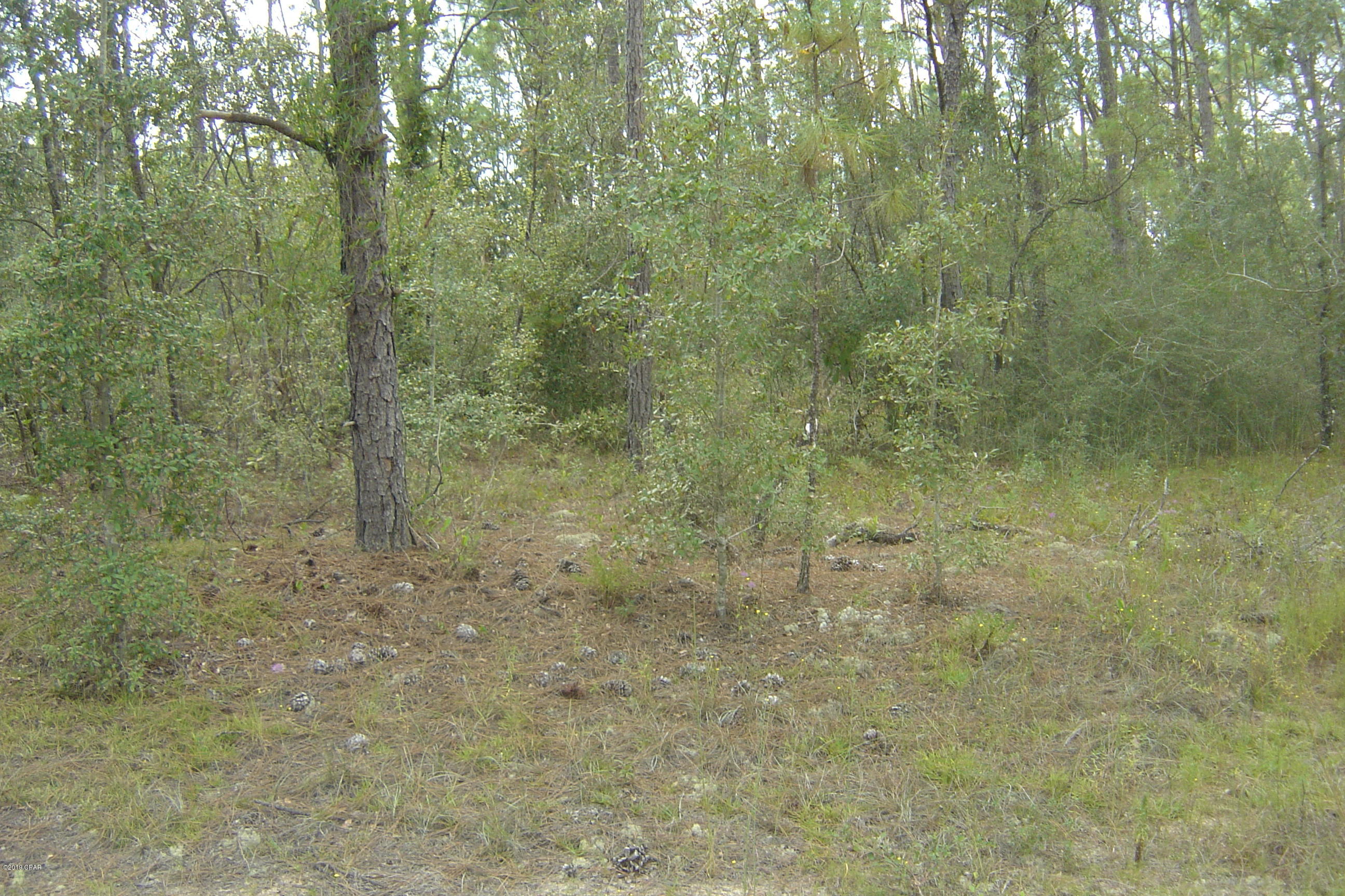 Compass Lake Hills Unit 5 - Land