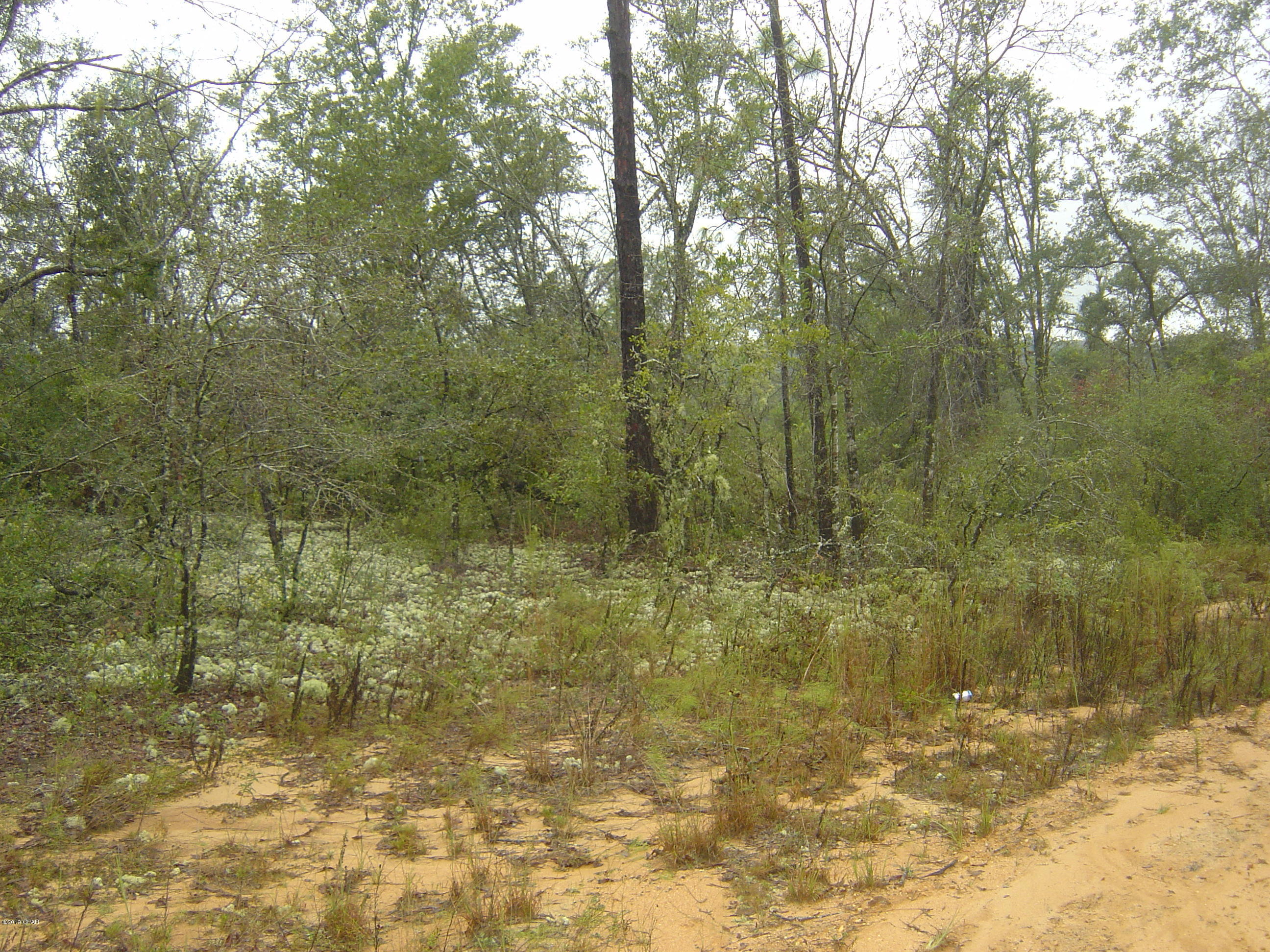 Excellent lot in CLH with all the amenities.  Easy access to McCormick lake for swimming and fishing.