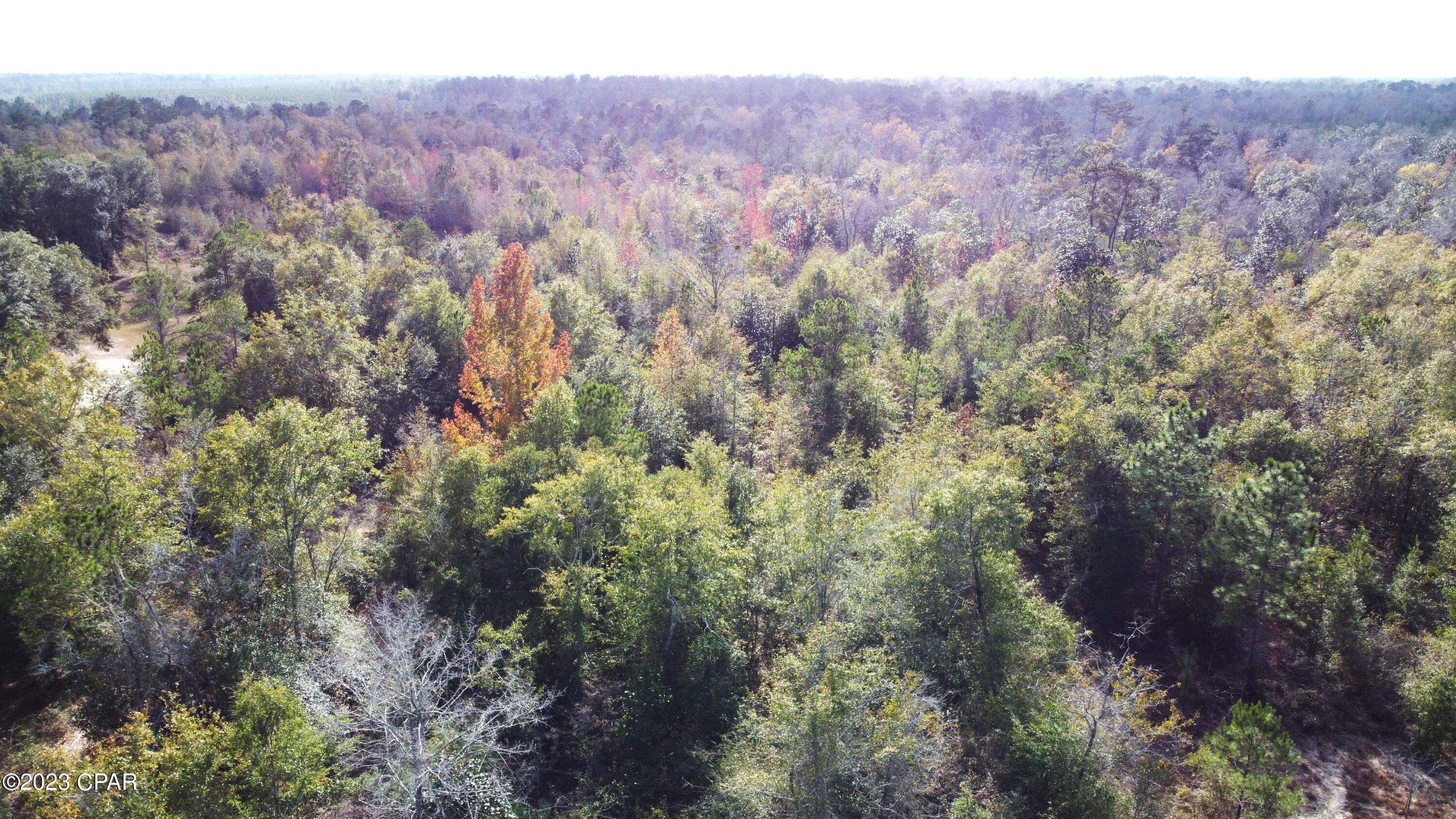 Other - Land